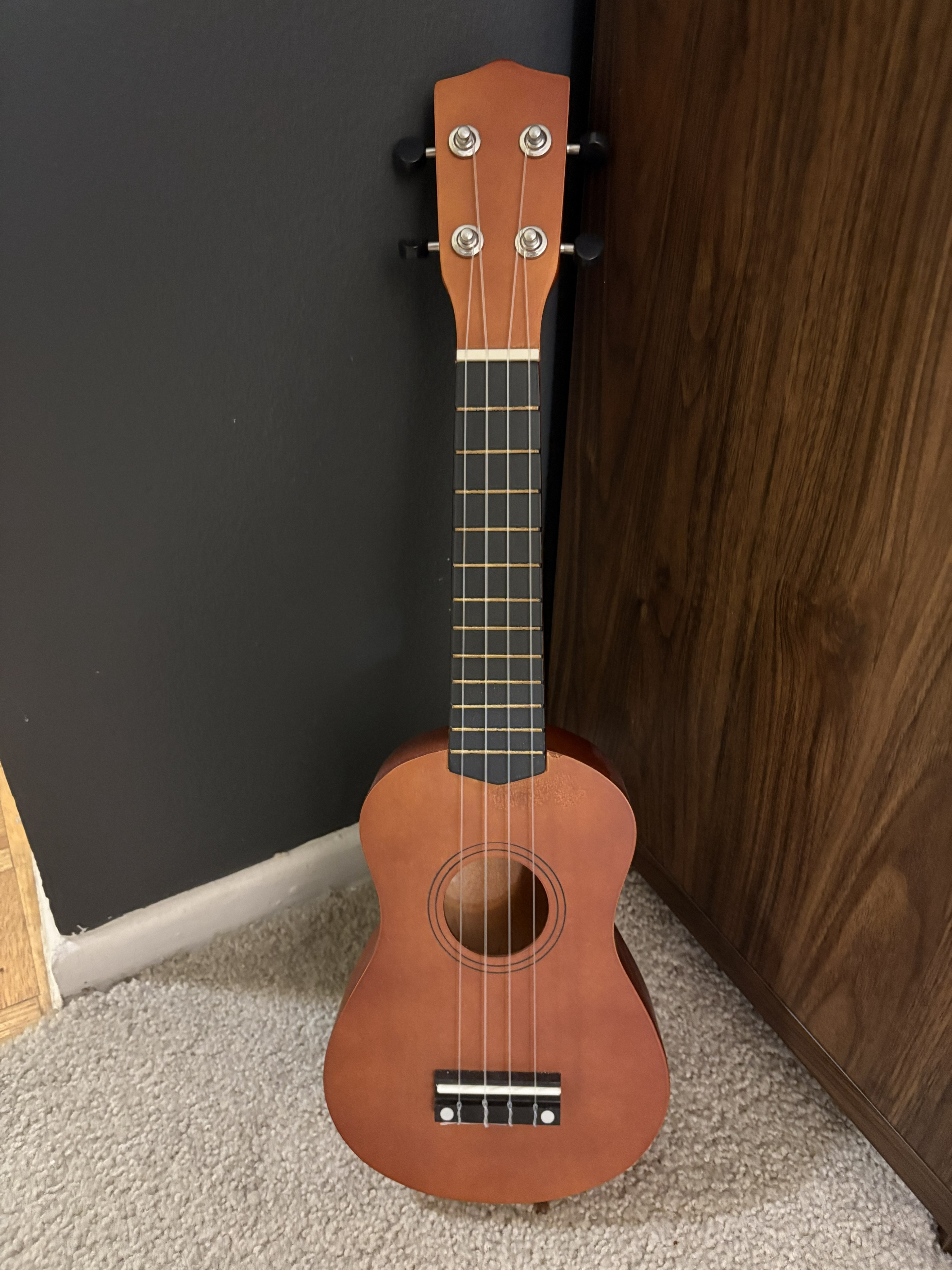 Ukulele – Almost New
