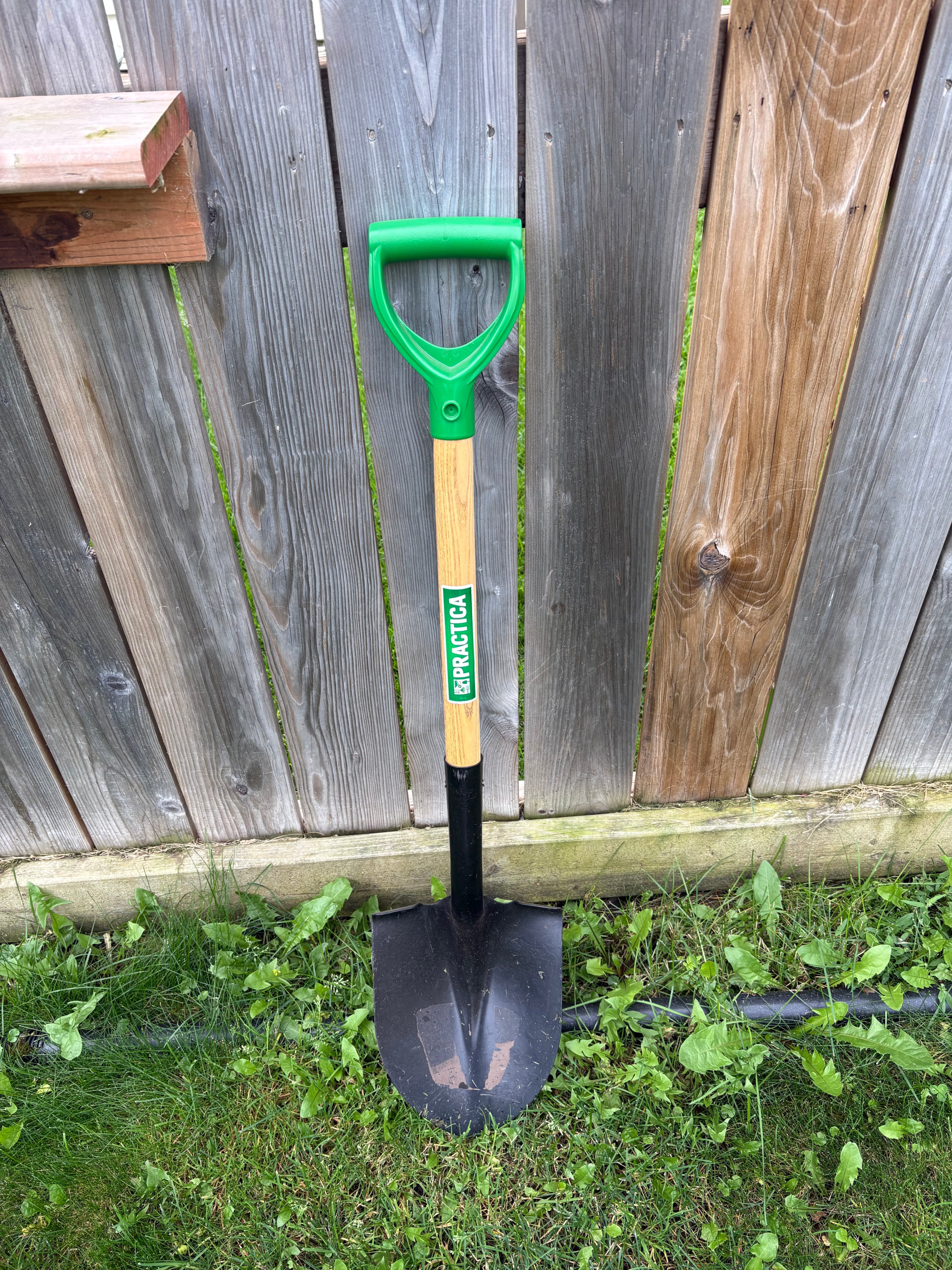 Practica Shovel with Green Handle