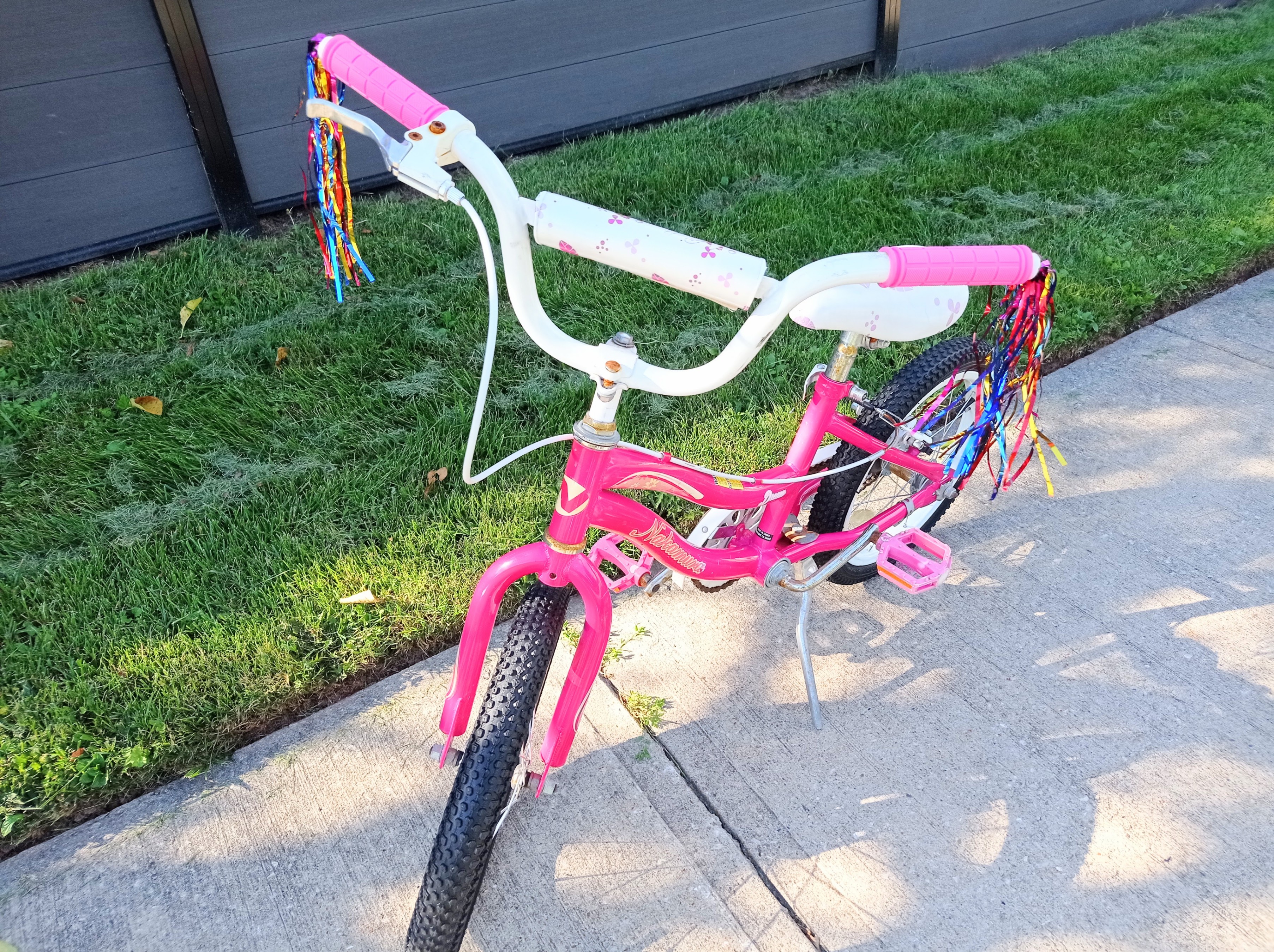 Nakamura Dream 16" Girls Bike with New Tires & Grips - photo 4