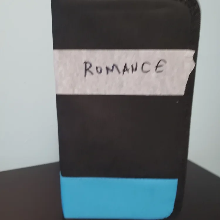 32 Romance Movies DVD Bundle