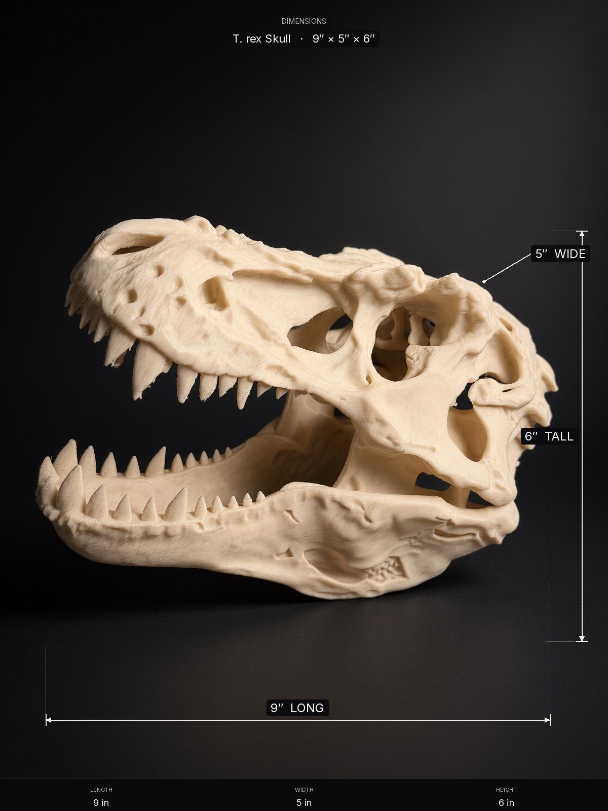 T-Rex Skull Replica, 3D Printed - photo 4