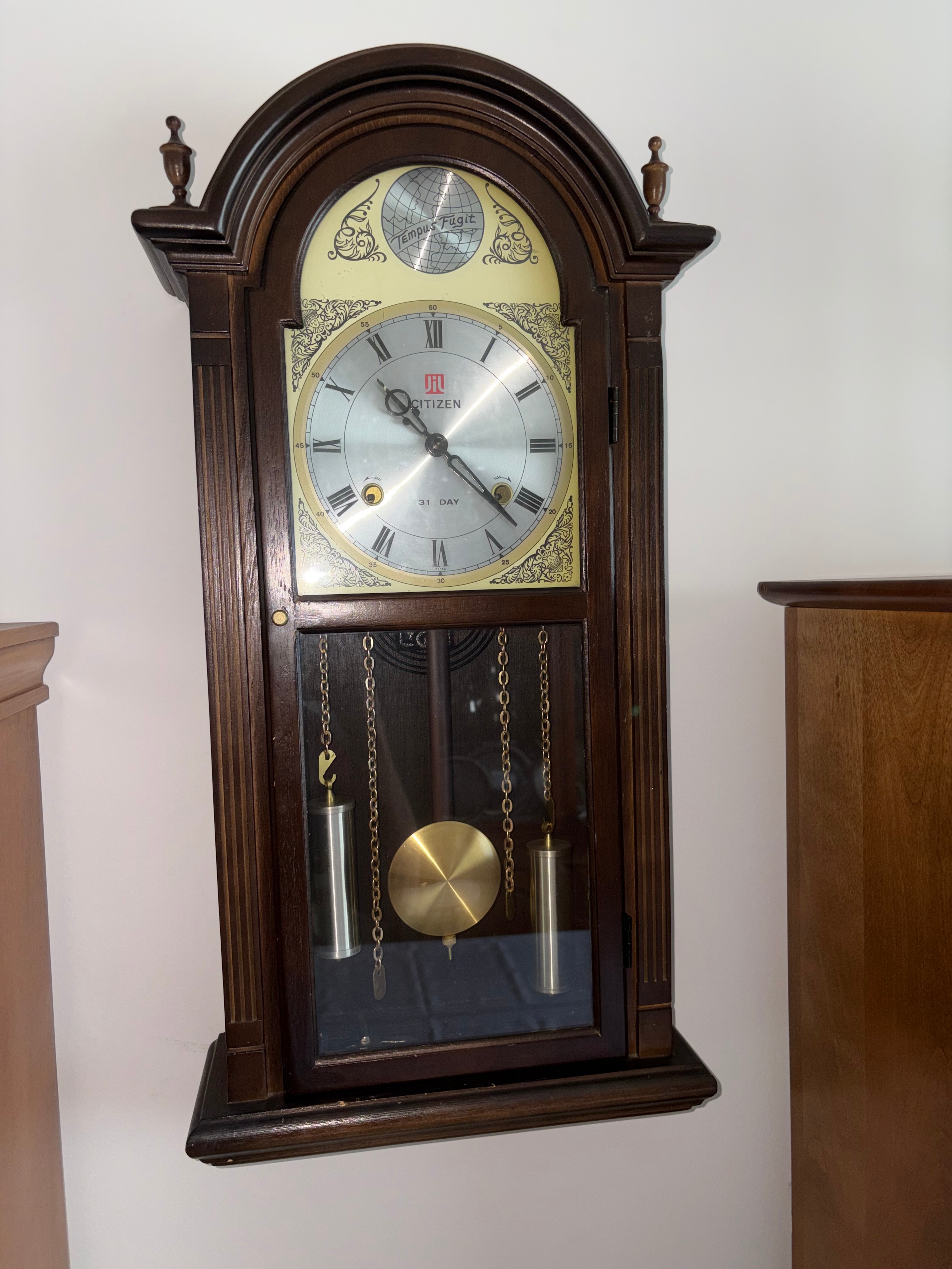 Citizen Tempus Fugit Wall Clock