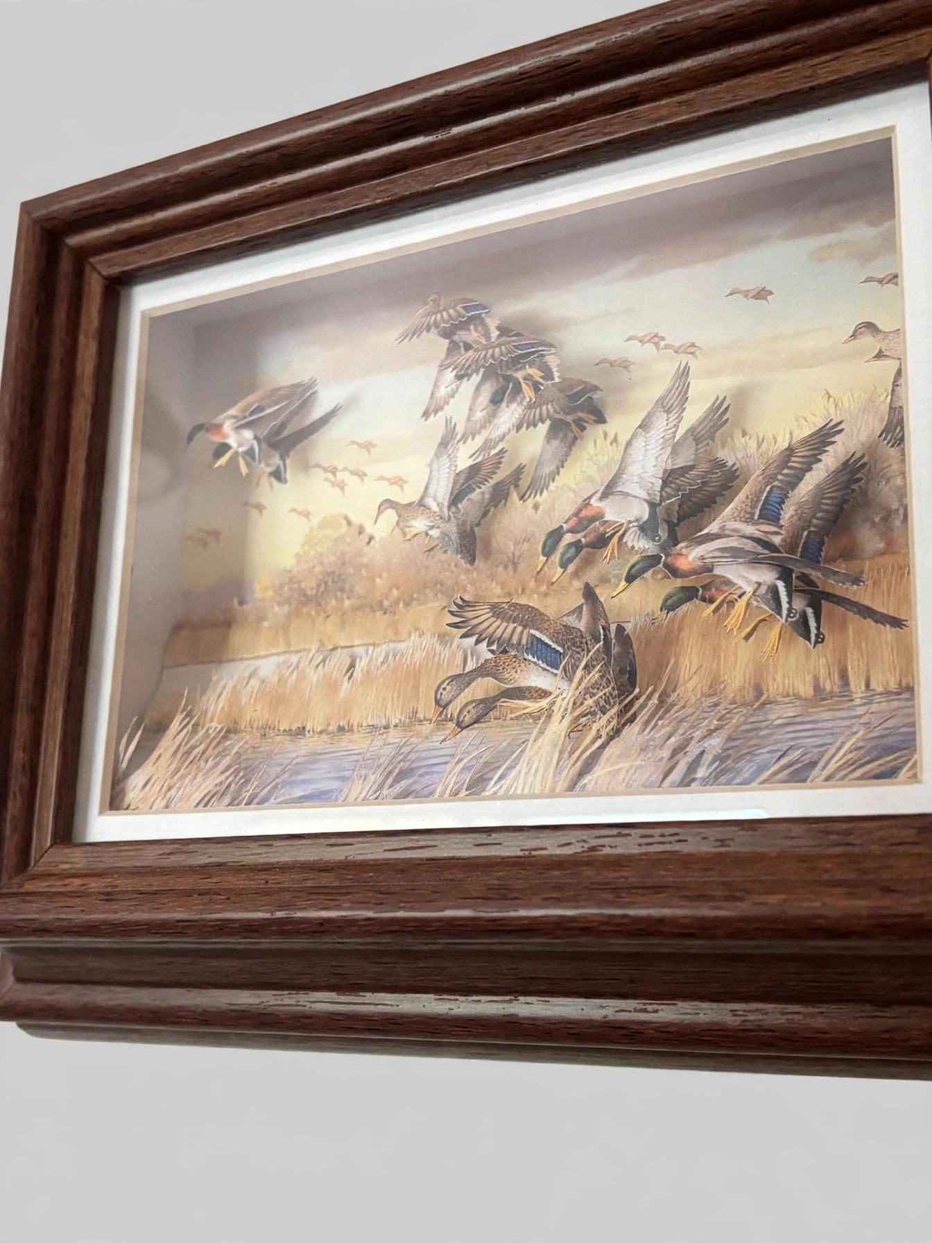 3D Mallard Duck Shadow Box Wall Art Framed - photo 3