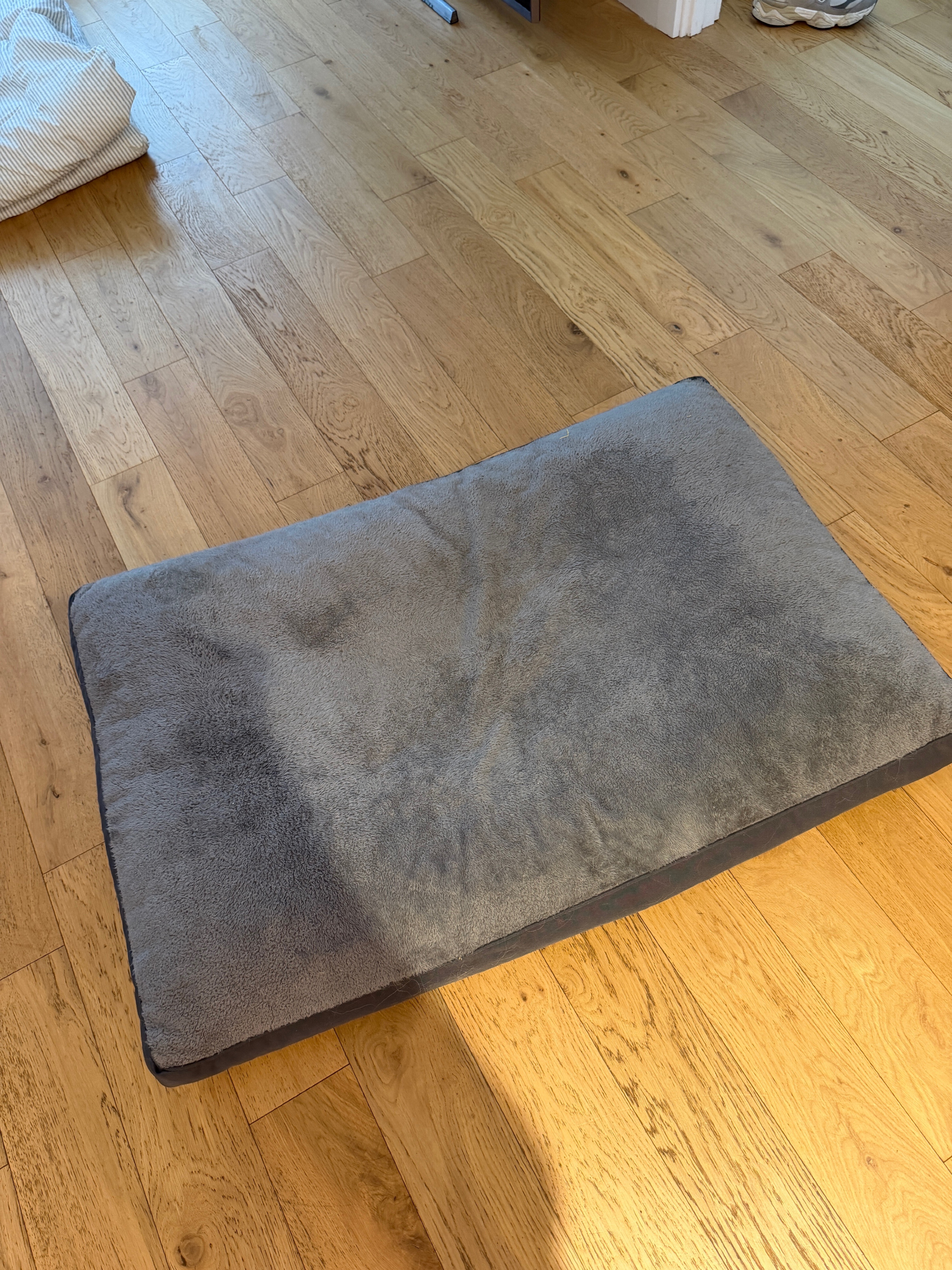 Large Dog Bed