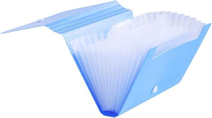 Subdivision Accordion File Folder / Organizer Wallet
