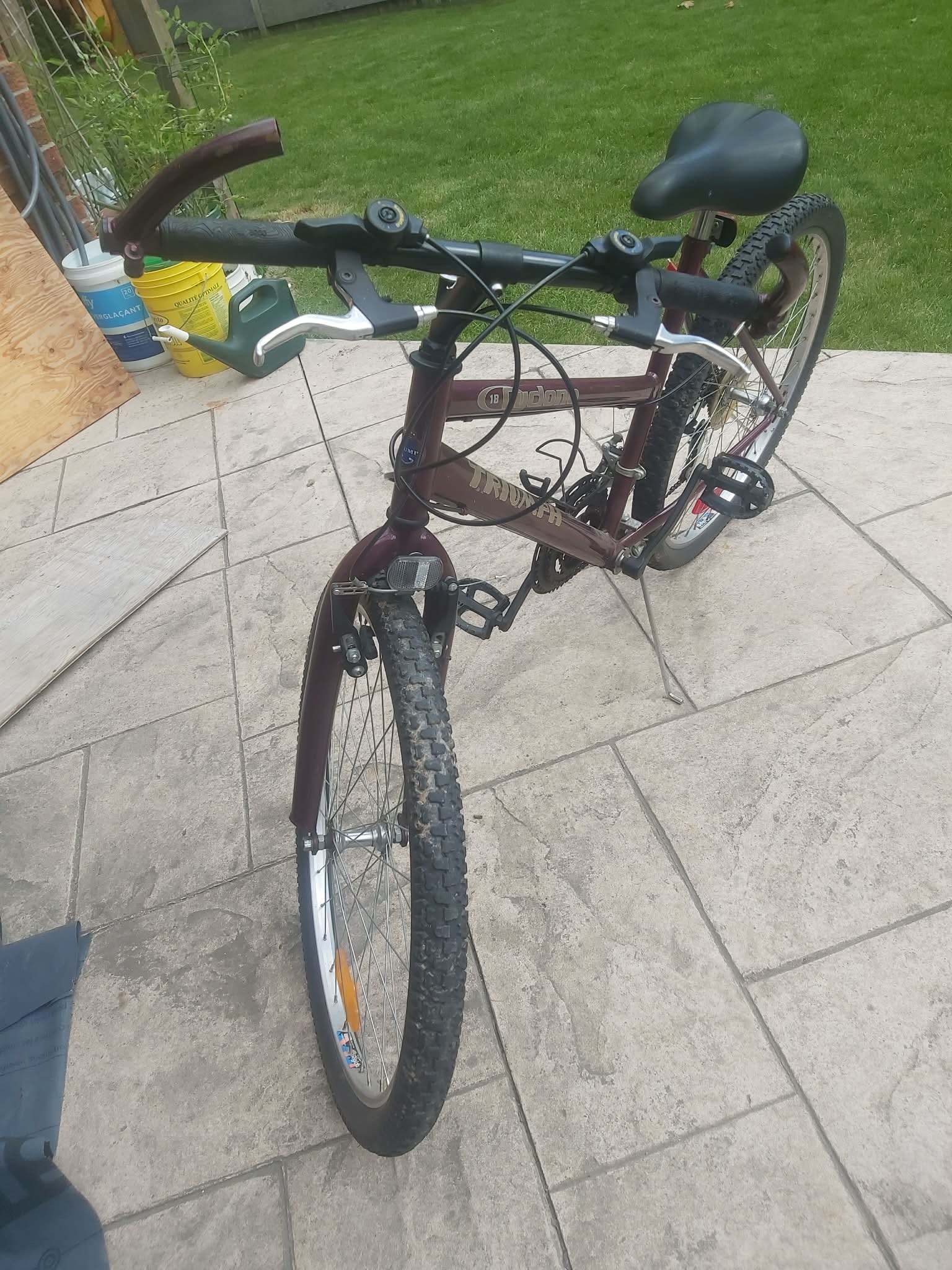 Triumph Cyclone 18-Speed Mountain Bike - photo 4