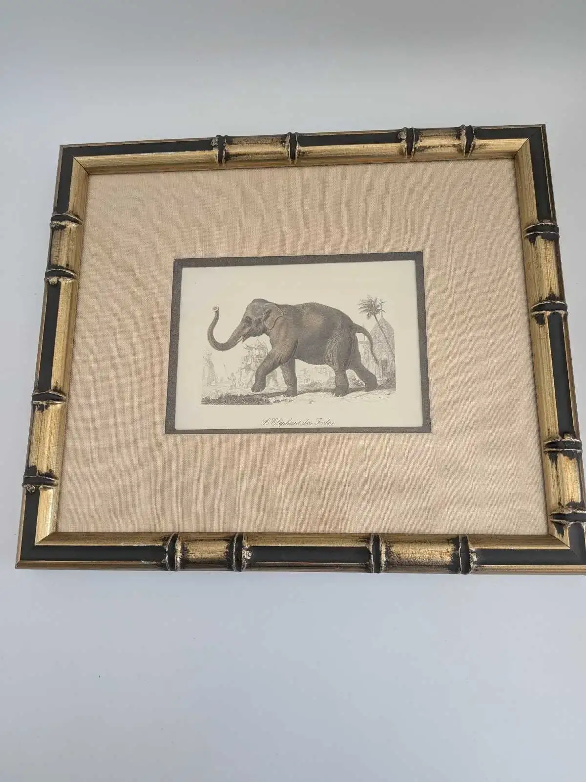 L'Elephant des Indes Framed Wall Art