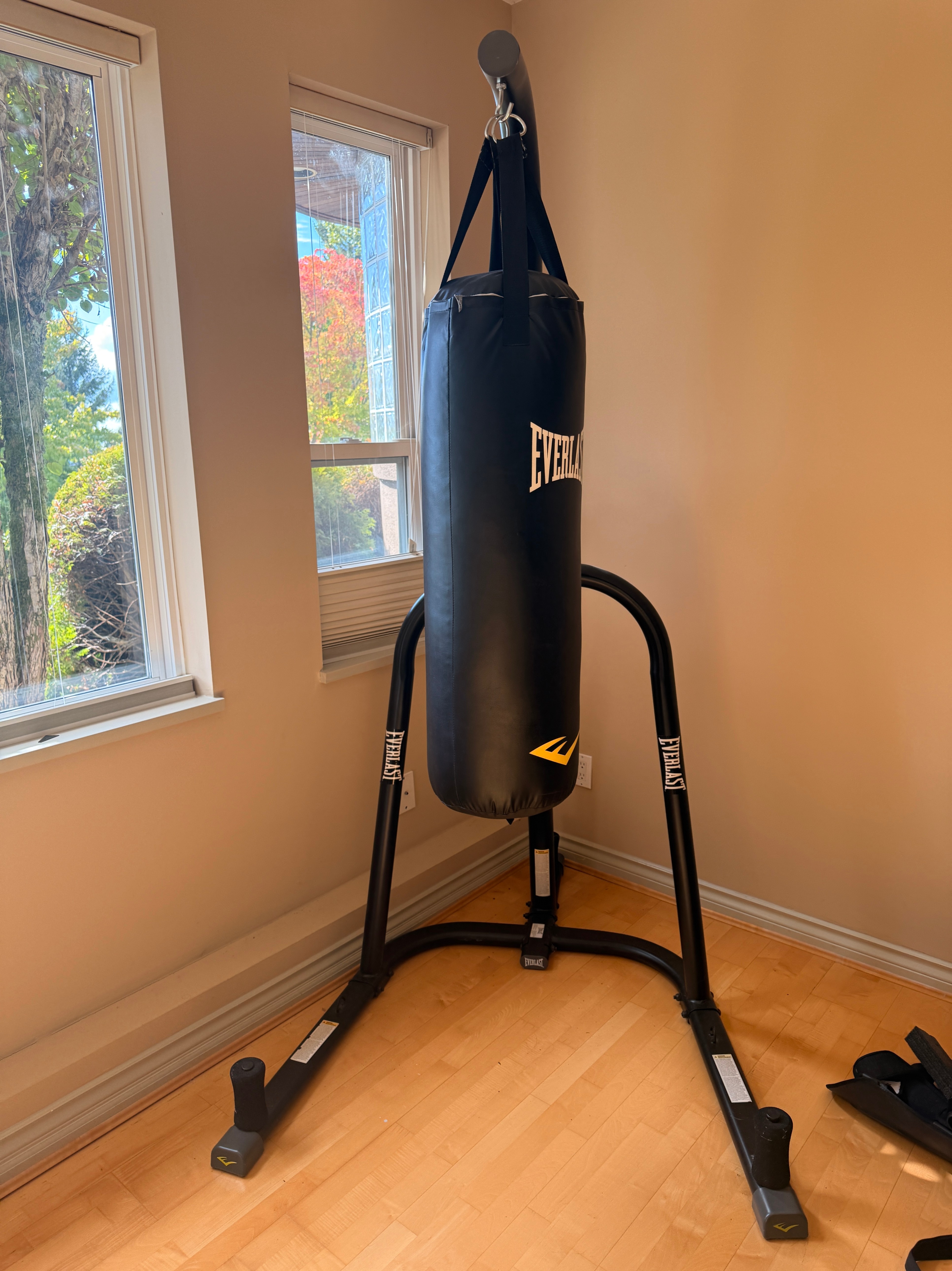 Everlast Punching Bag with Stand – Home Boxing Setup