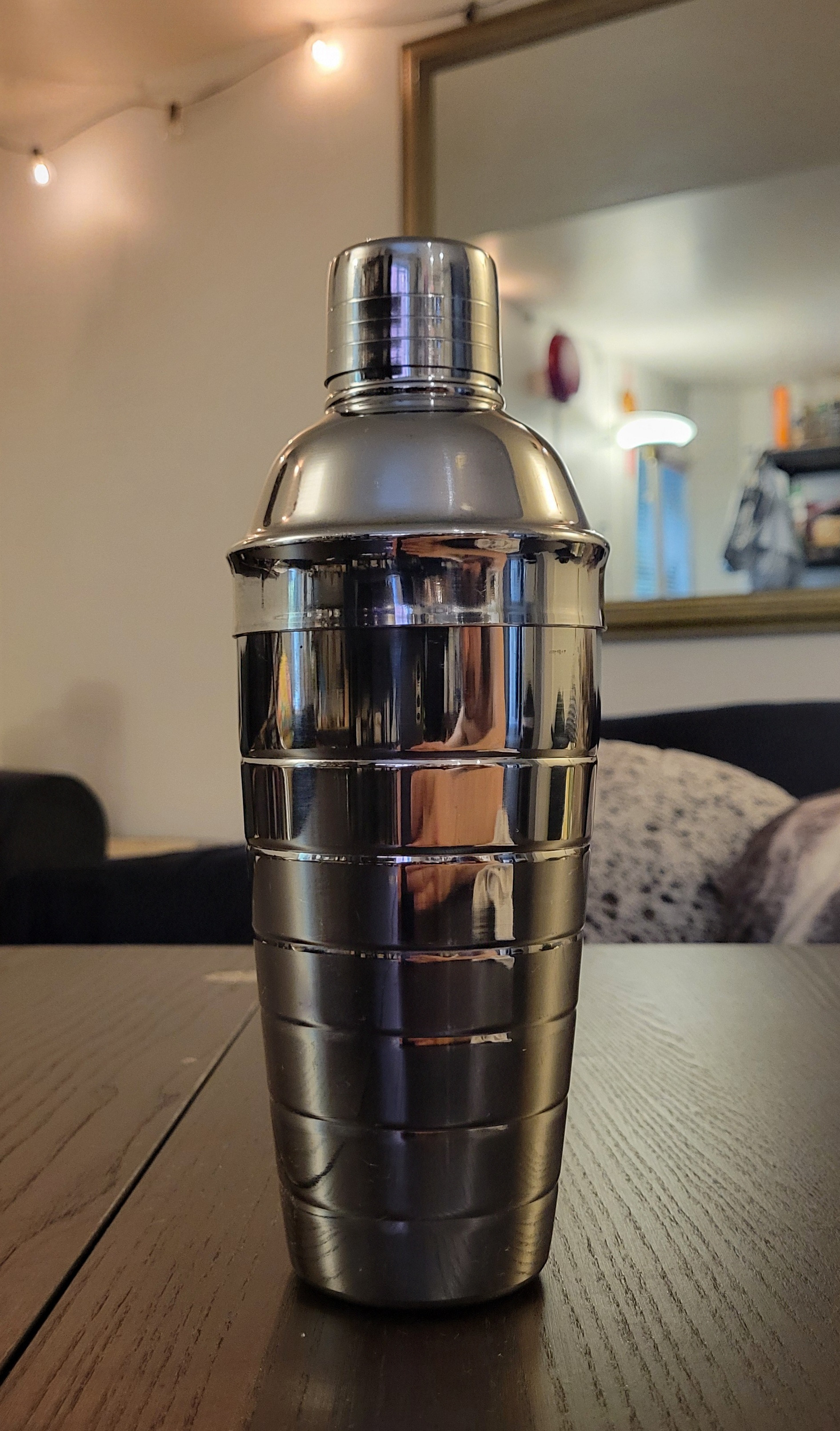 Stainless Steel Cocktail shaker