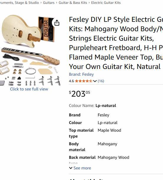 48. Fesley LP-Style 6-String Electric Kit - photo 3