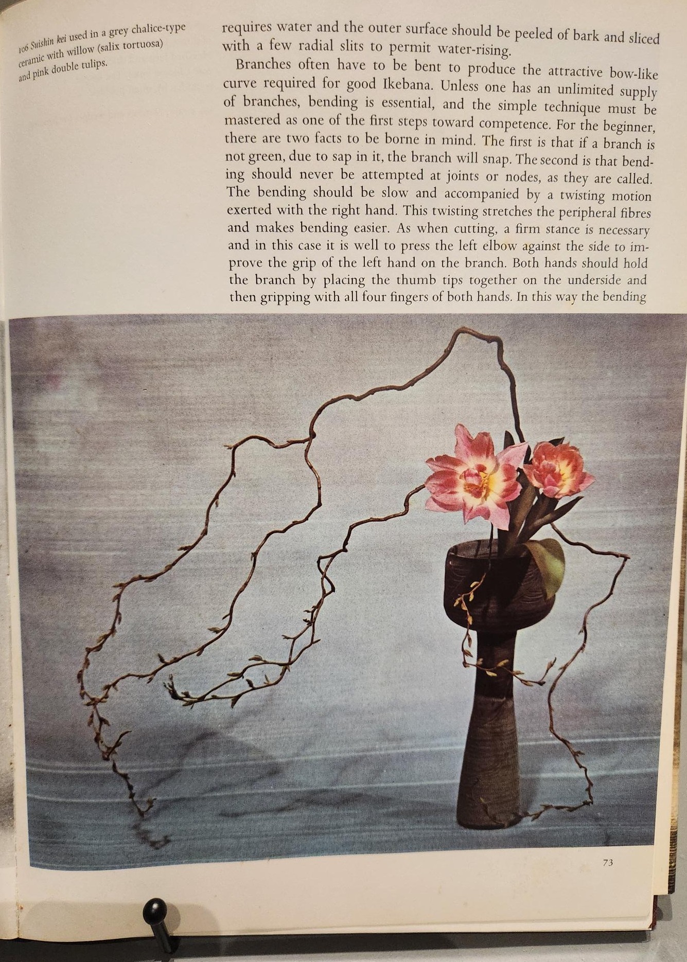 Vintage Book  "Japanese Flower Arrangement: Ikebana" - photo 5