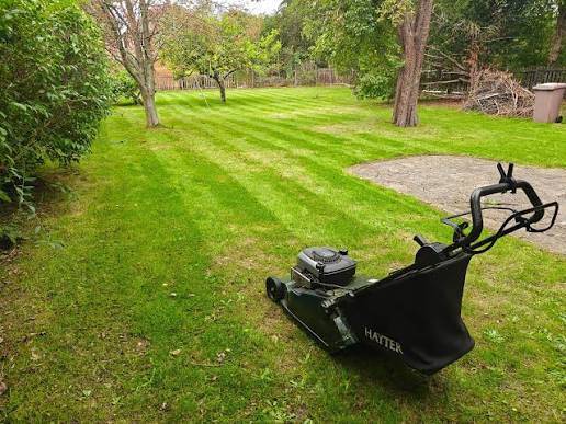 Affordable Lawn Mowing & Weed Trimming – $25 - photo 2