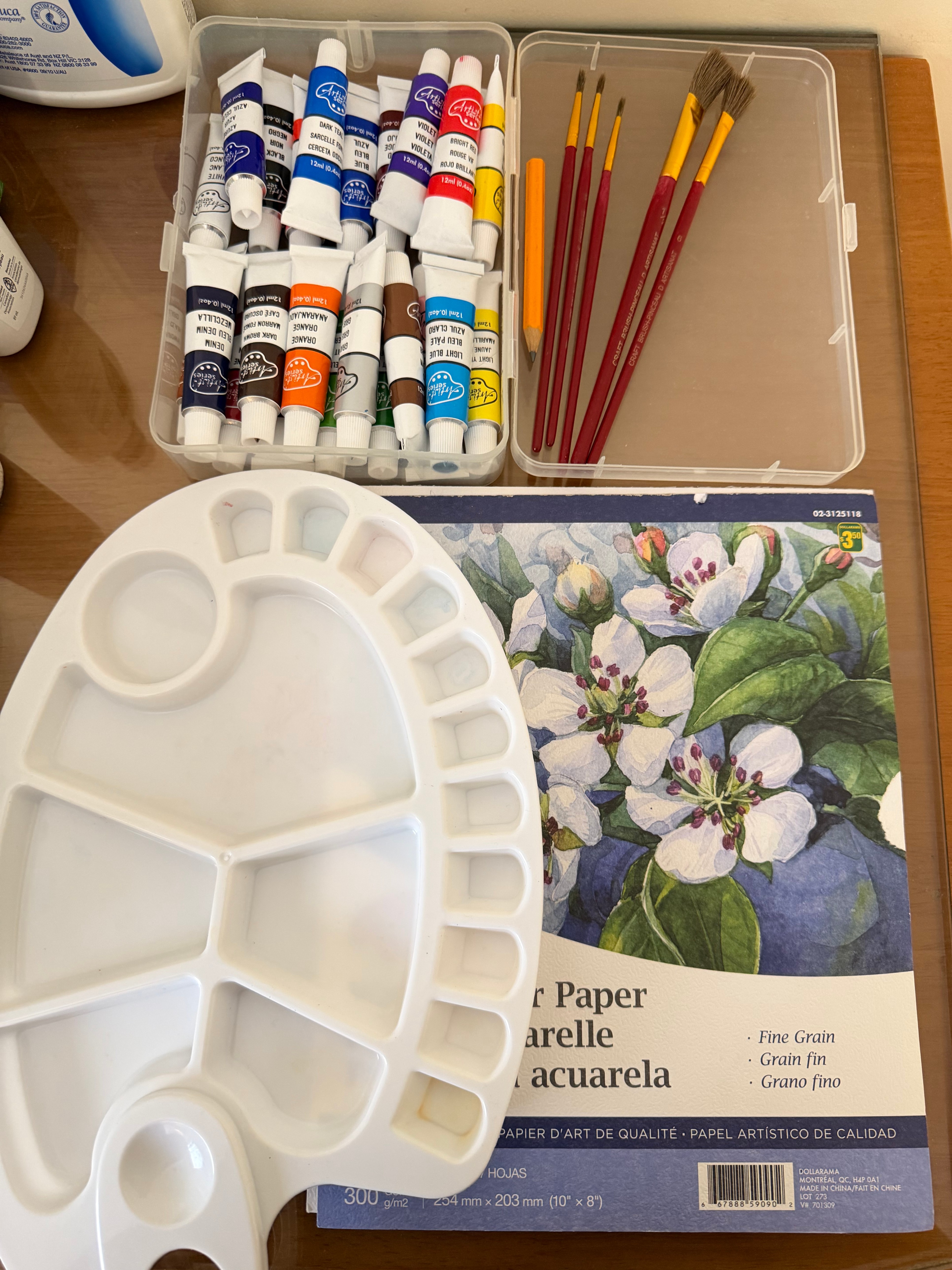 Watercolour Painting Supplies Set