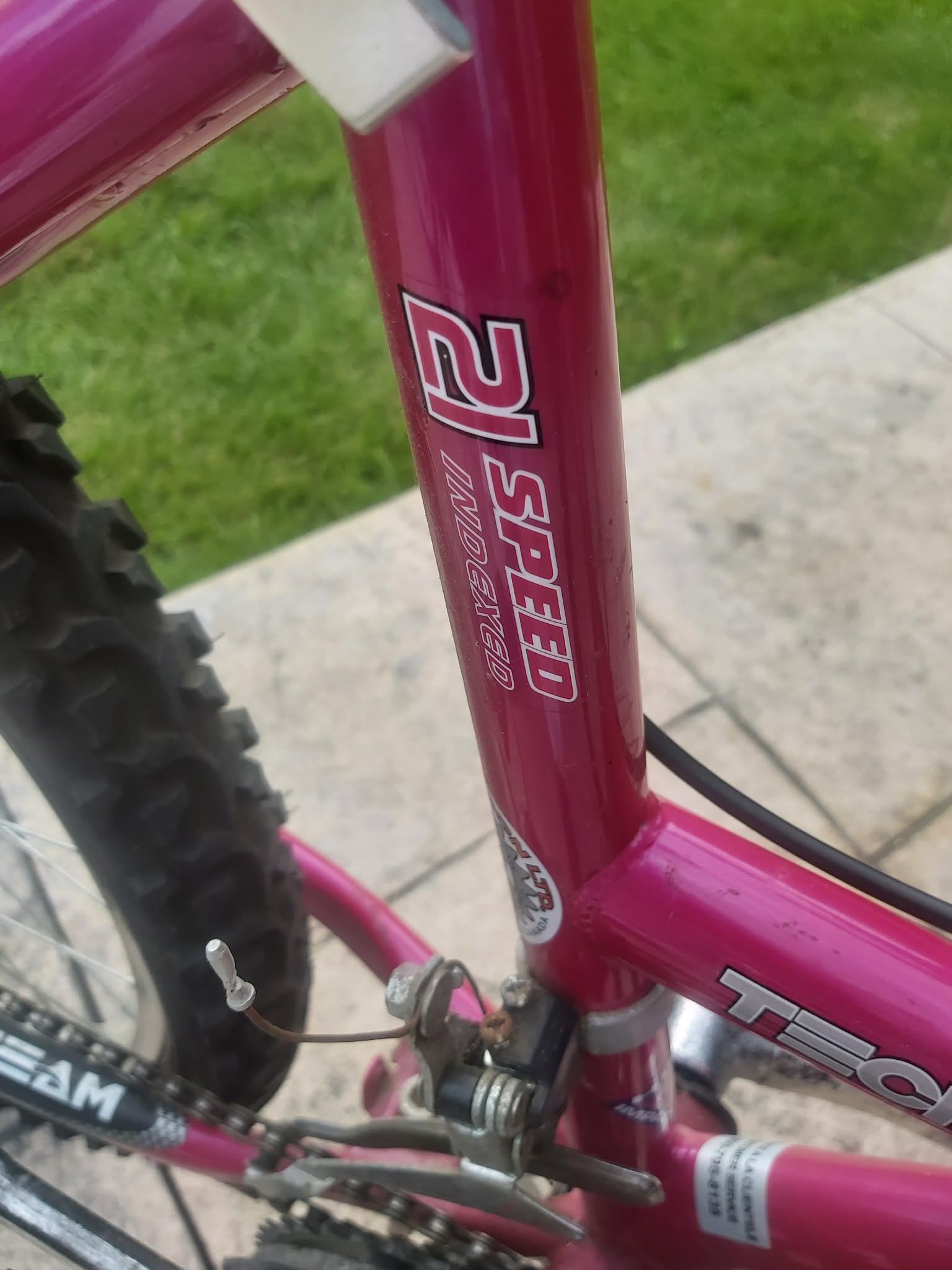 Tech Team Calypso 21-Speed Mountain Bike