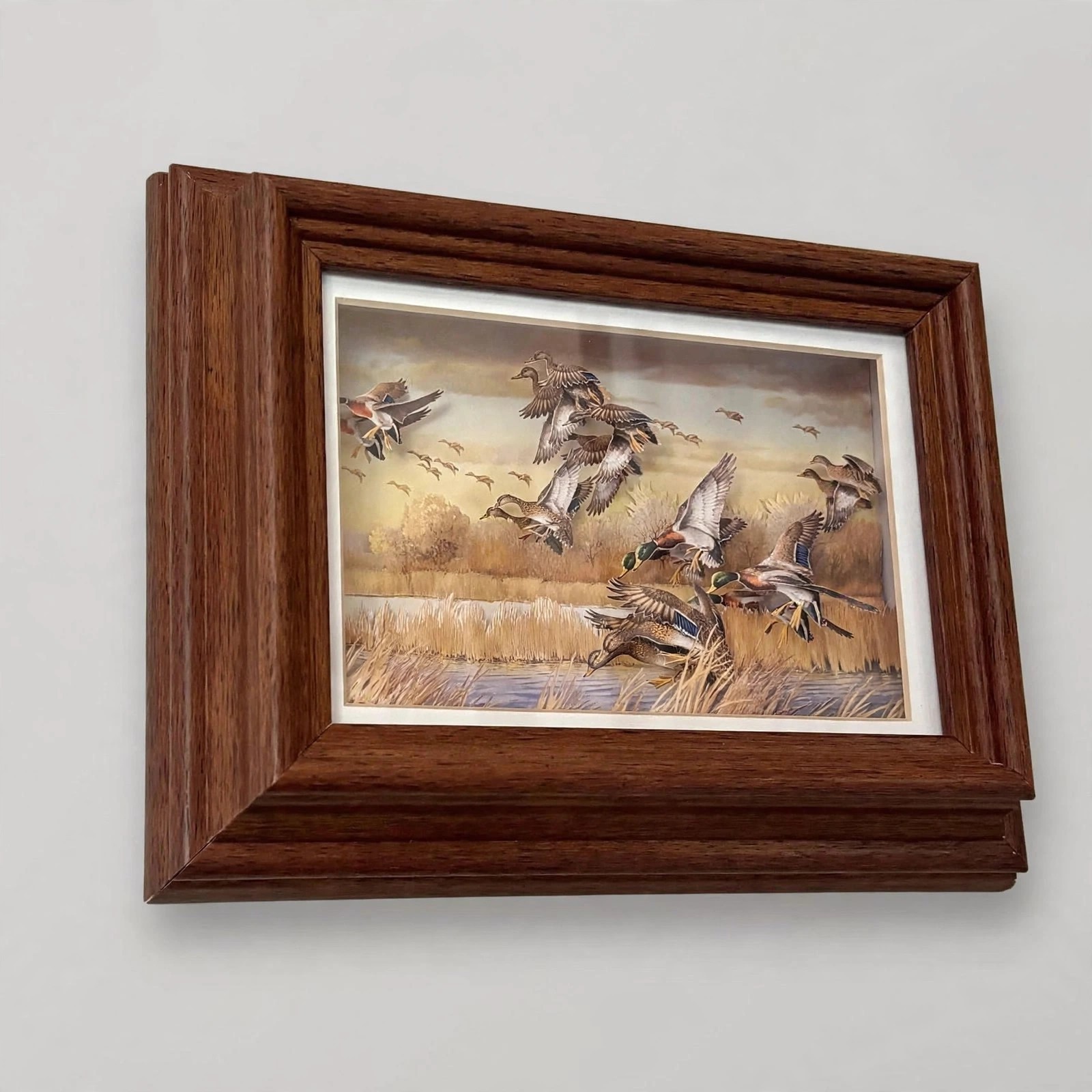 3D Mallard Duck Shadow Box Wall Art Framed