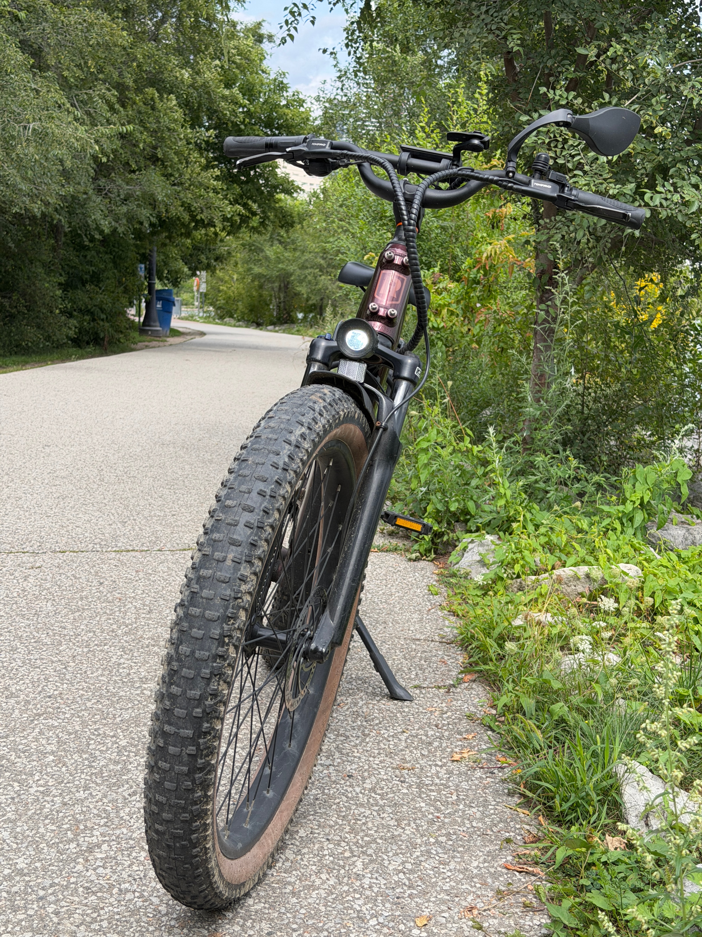 Rad Power Bikes Radster Trail – Excellent Condition + Extras - photo 4