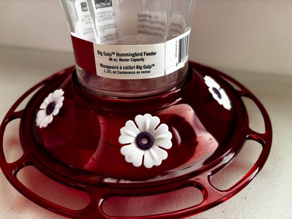 More Birds Red Plastic 40oz Bug Gulp Hummingbird Feeder