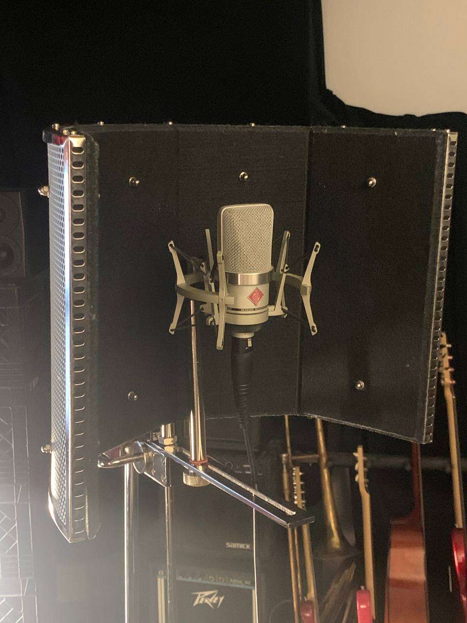 sE Reflexion | Vocal Mic Reflection Filter - photo 2