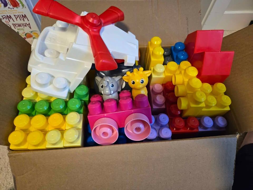 Mega Blocks (Delta/Ladner)