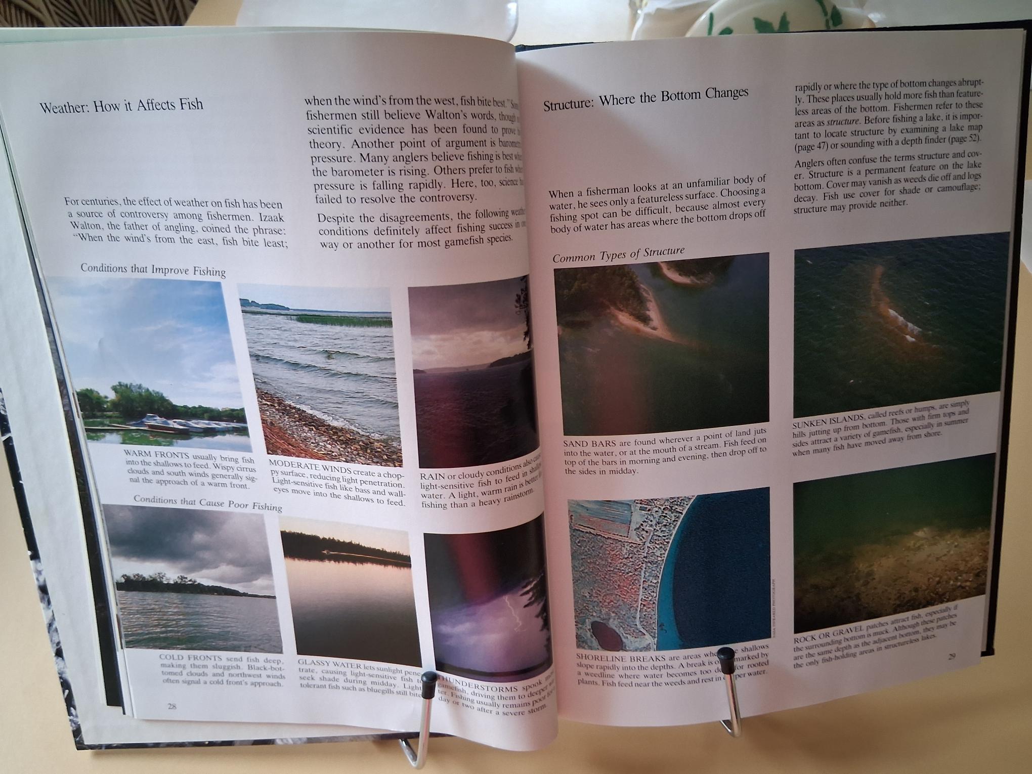 The Art of Freshwater Fishing - photo 2