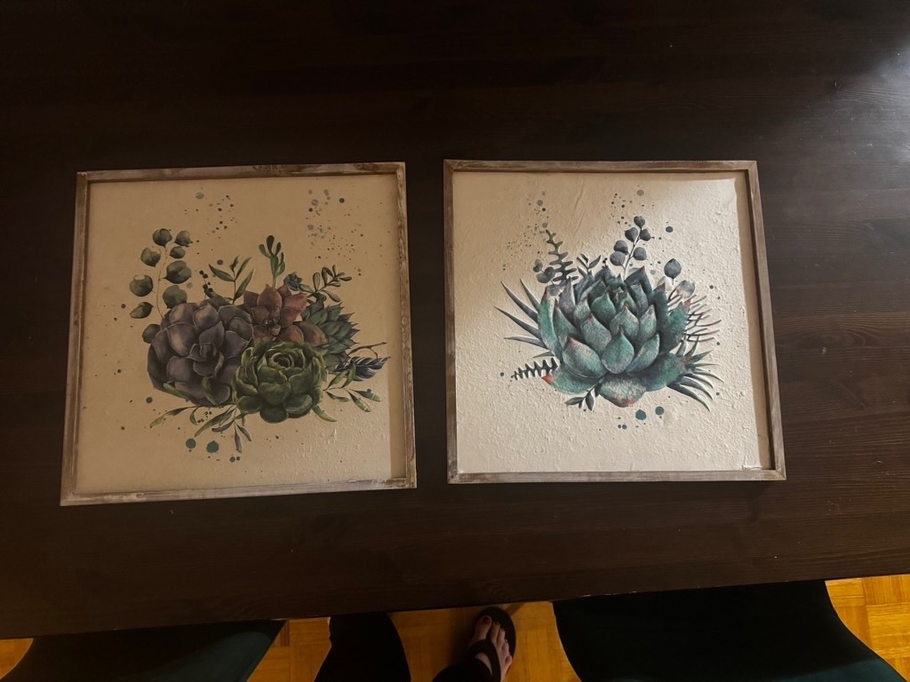Plant art - 2 medium sized frames - $10 for both