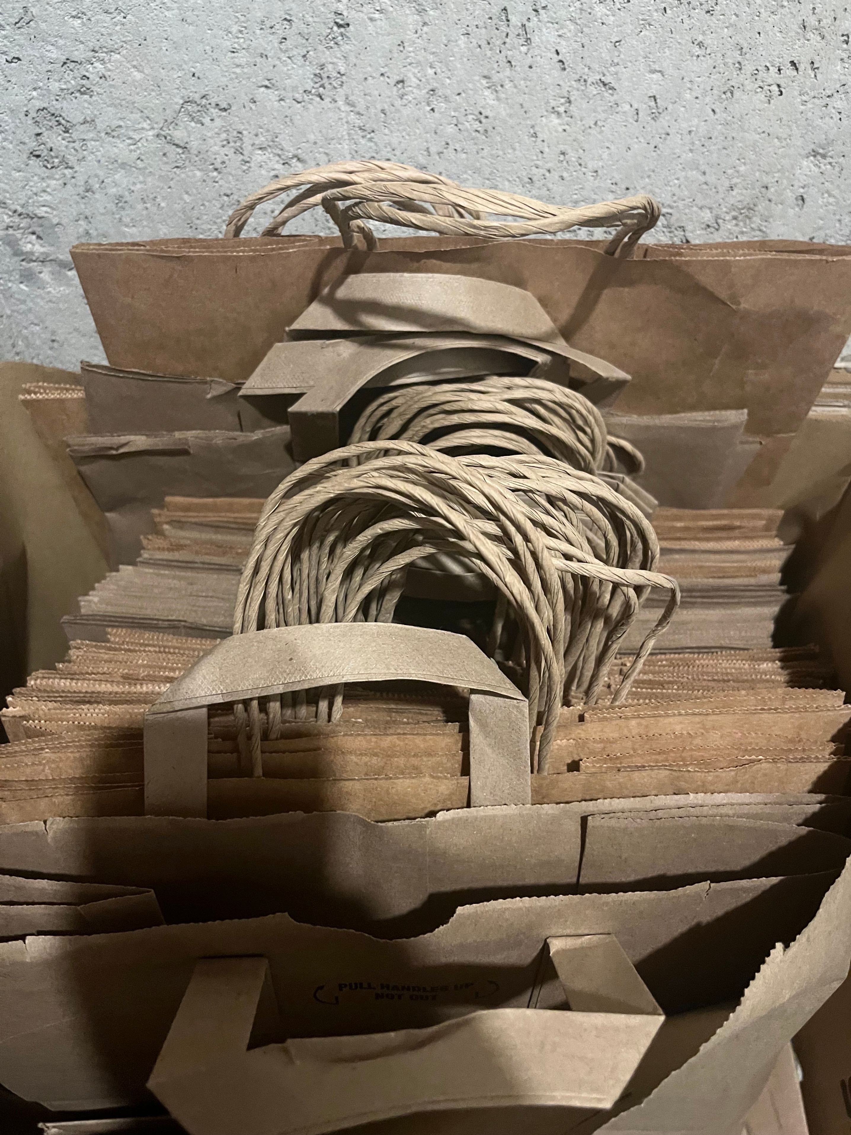 Paper Bags - 14 x 12 inches - photo 3