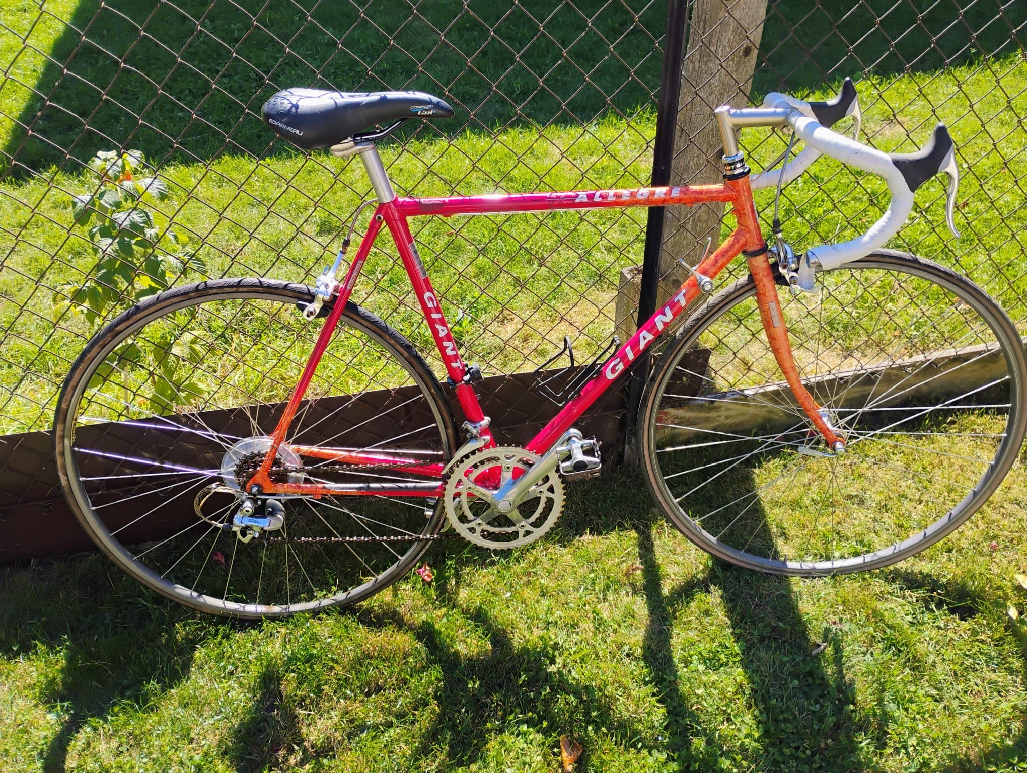 1990's Giant Allegre Racing Bike