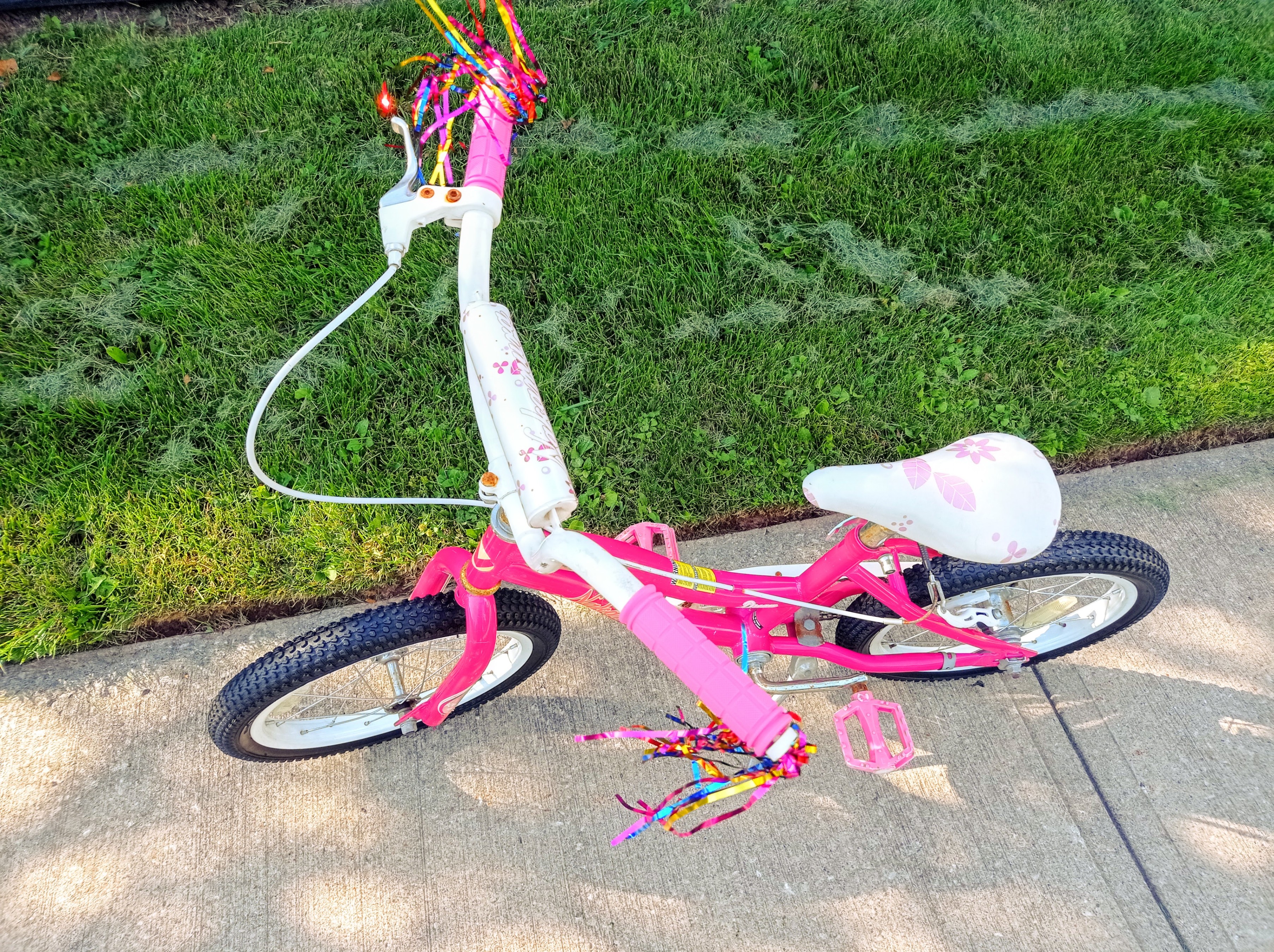 Nakamura Dream 16" Girls Bike with New Tires & Grips - photo 3