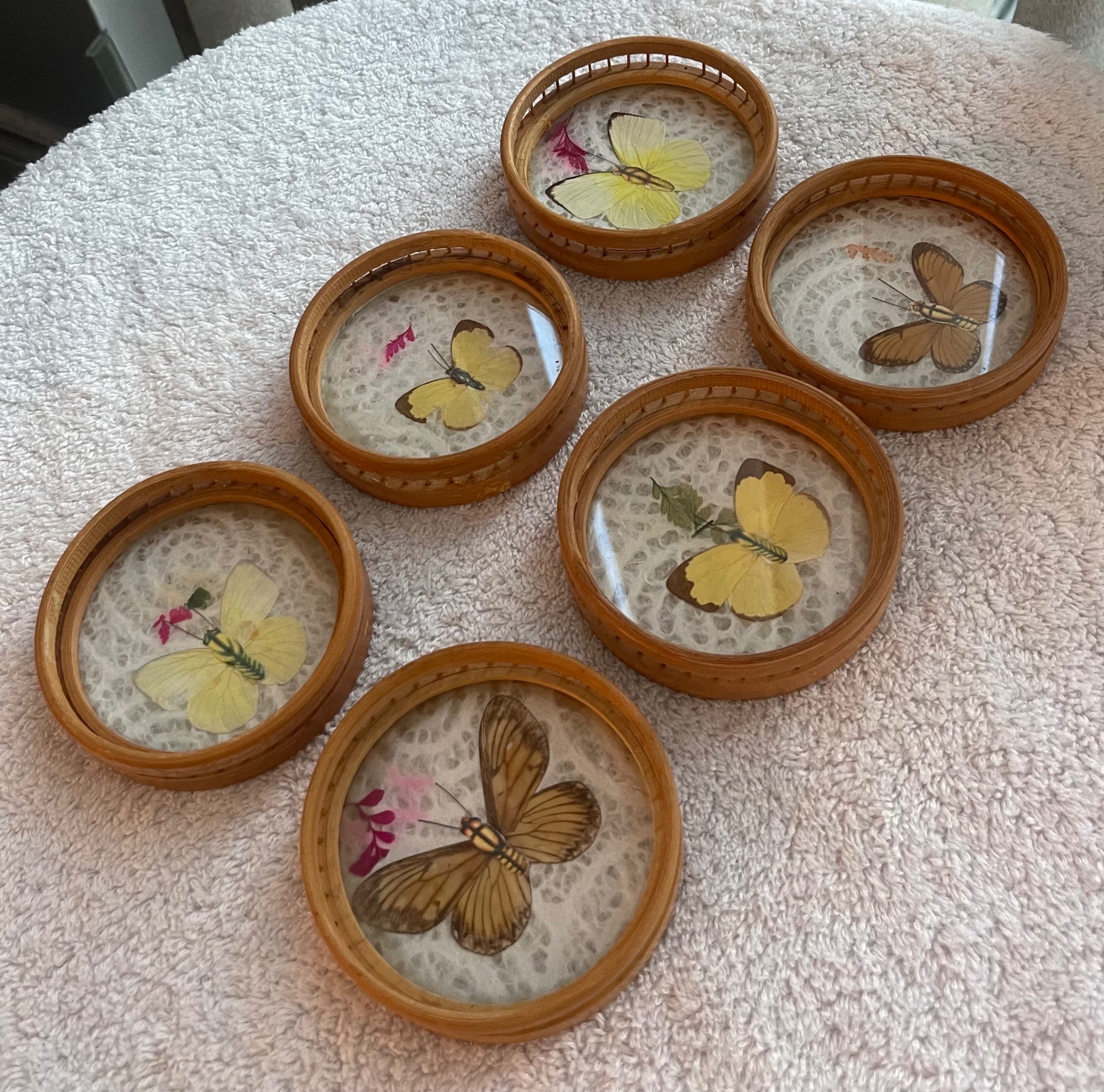 Vintage 1970s Real Butterfly Bamboo Tray & 6 Coasters - photo 5