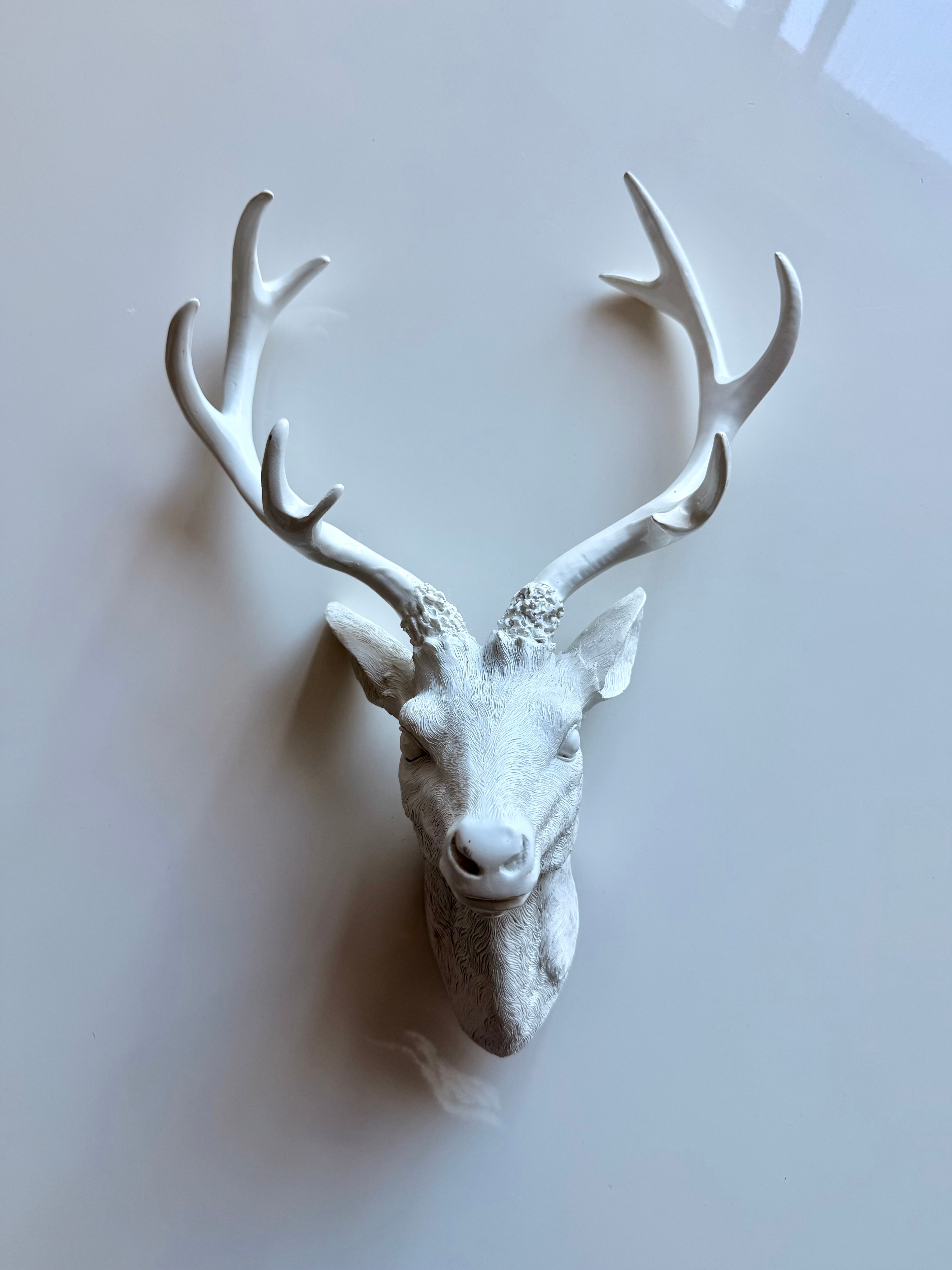 White Faux Deer Head Wall Mount