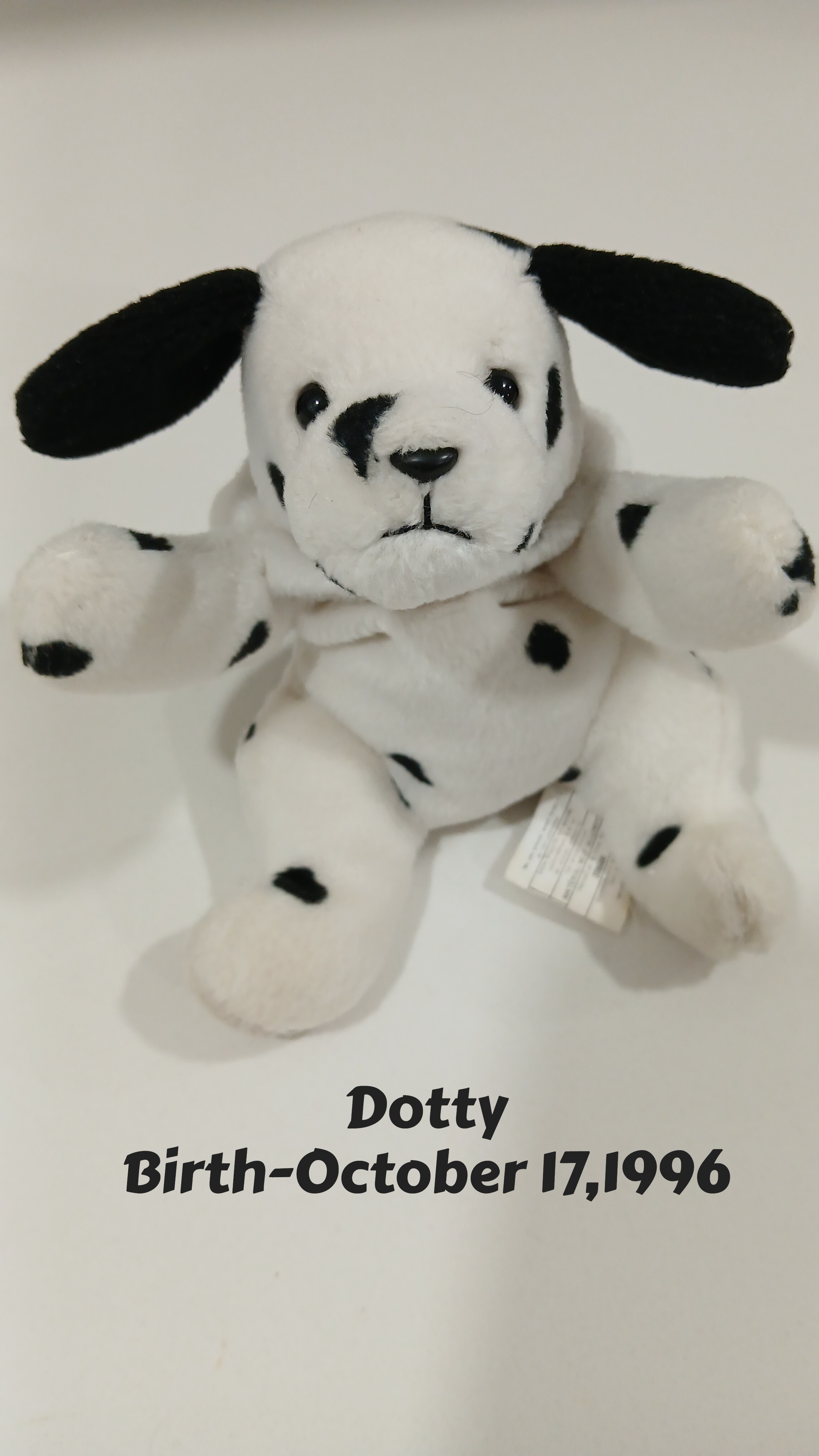 Ty Beany Baby Dotty With Birth Tag, Like New,