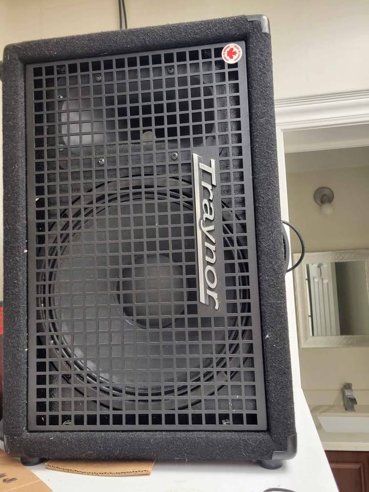 Traynor Block 12 Keyboard Amplifier