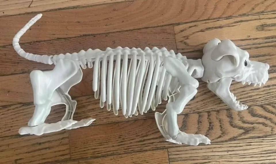 NEW - Skeleton dog with rotating head - photo 5