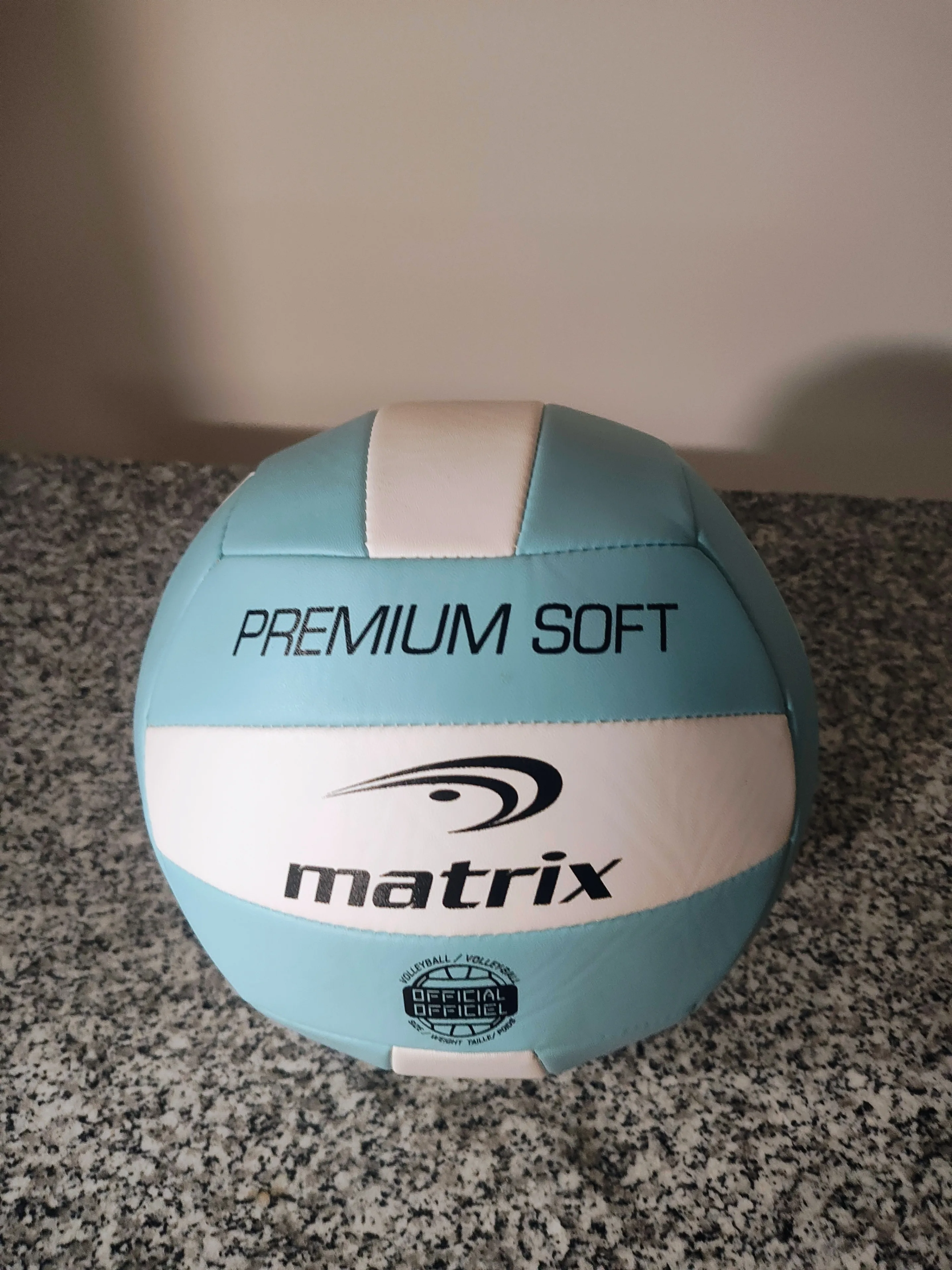 Matrix Premium Soft Volleyball