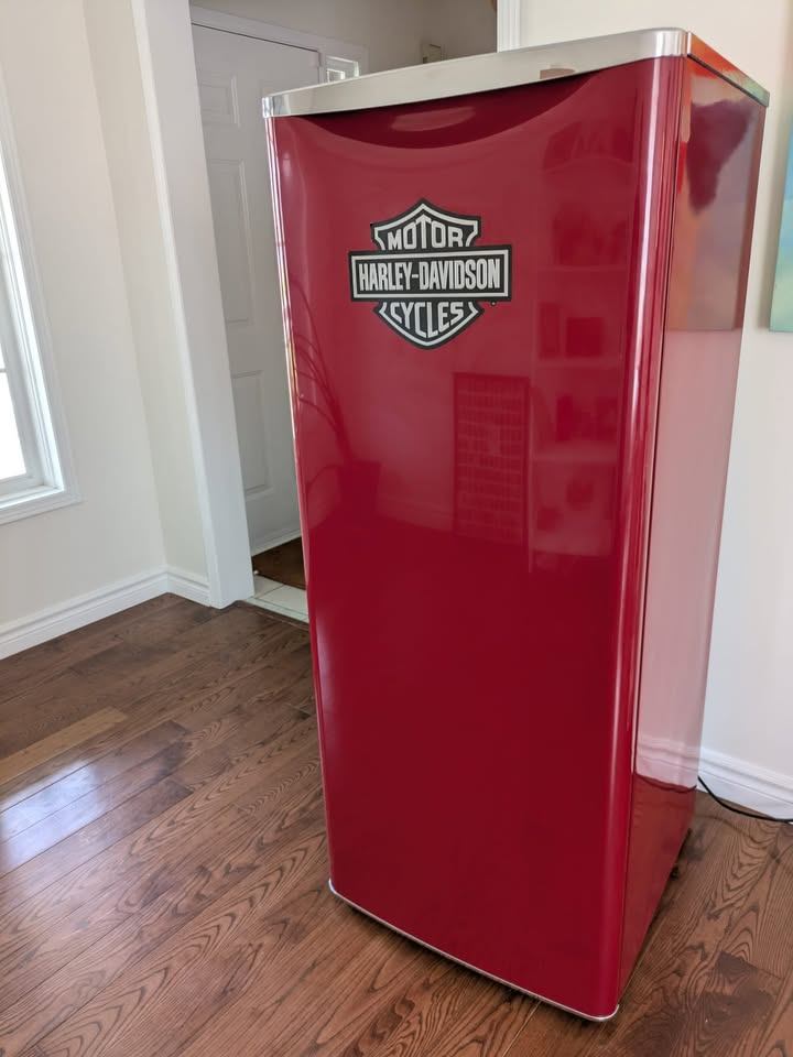 Retro Danby 11 cu. Fridge