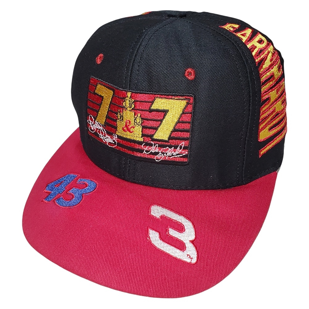 Vintage Petty And Earnhardt Strapback Hat