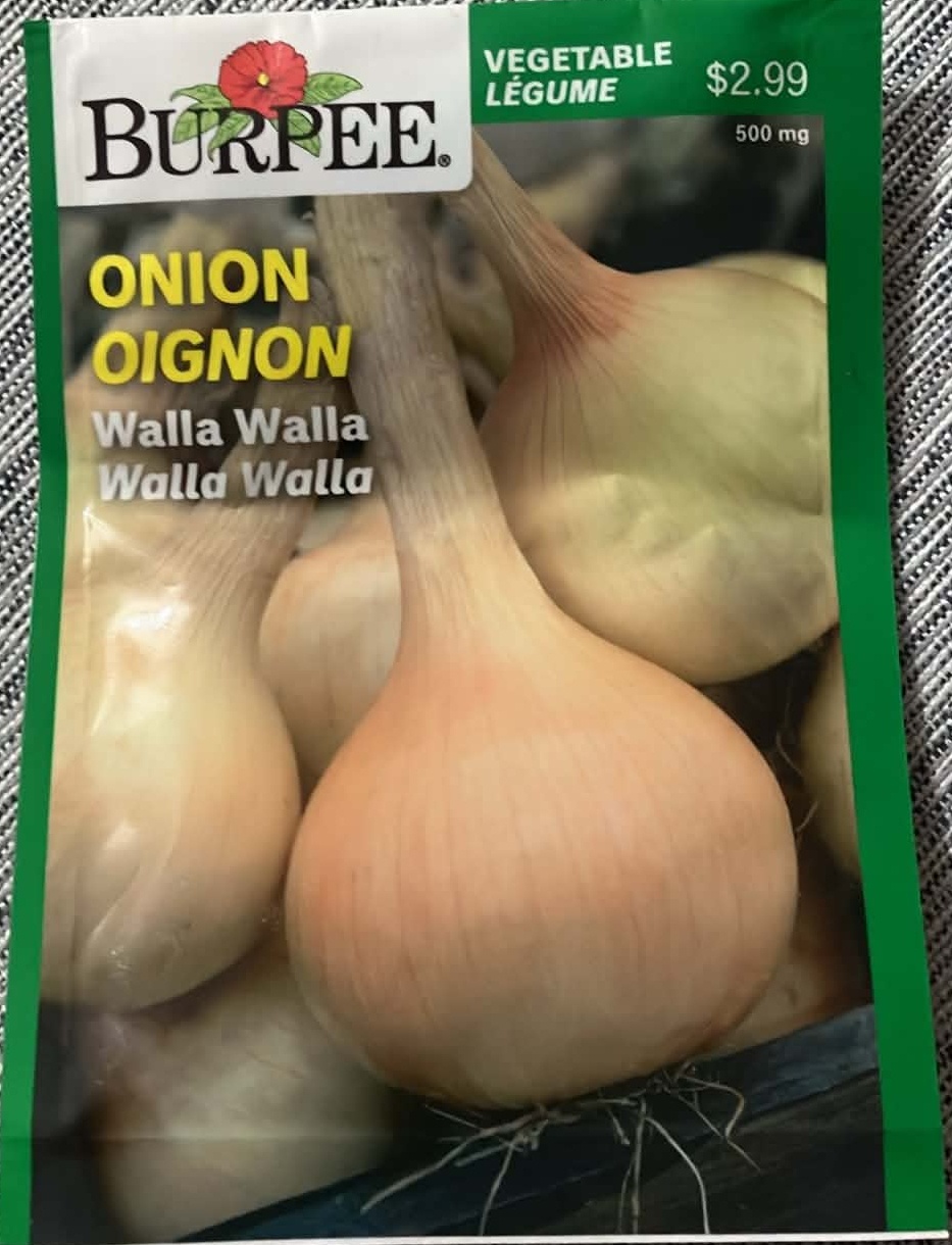 Onion Walla Walla Seeds