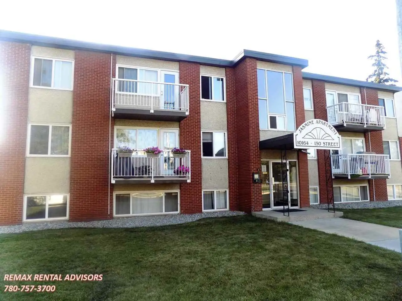 Bachelor Suite for Rent