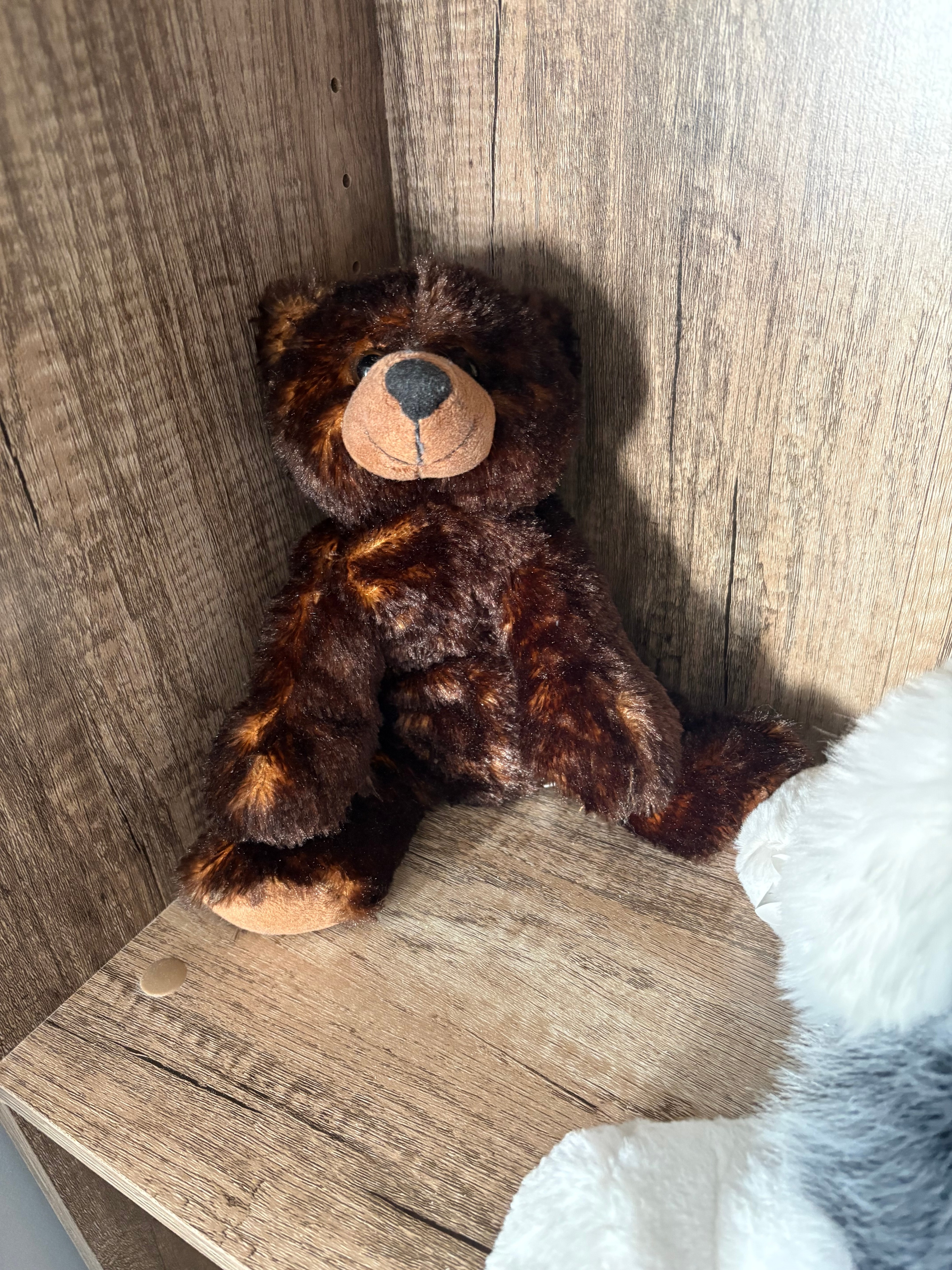 Unique Set of Two Plush Bears From Banff - photo 4