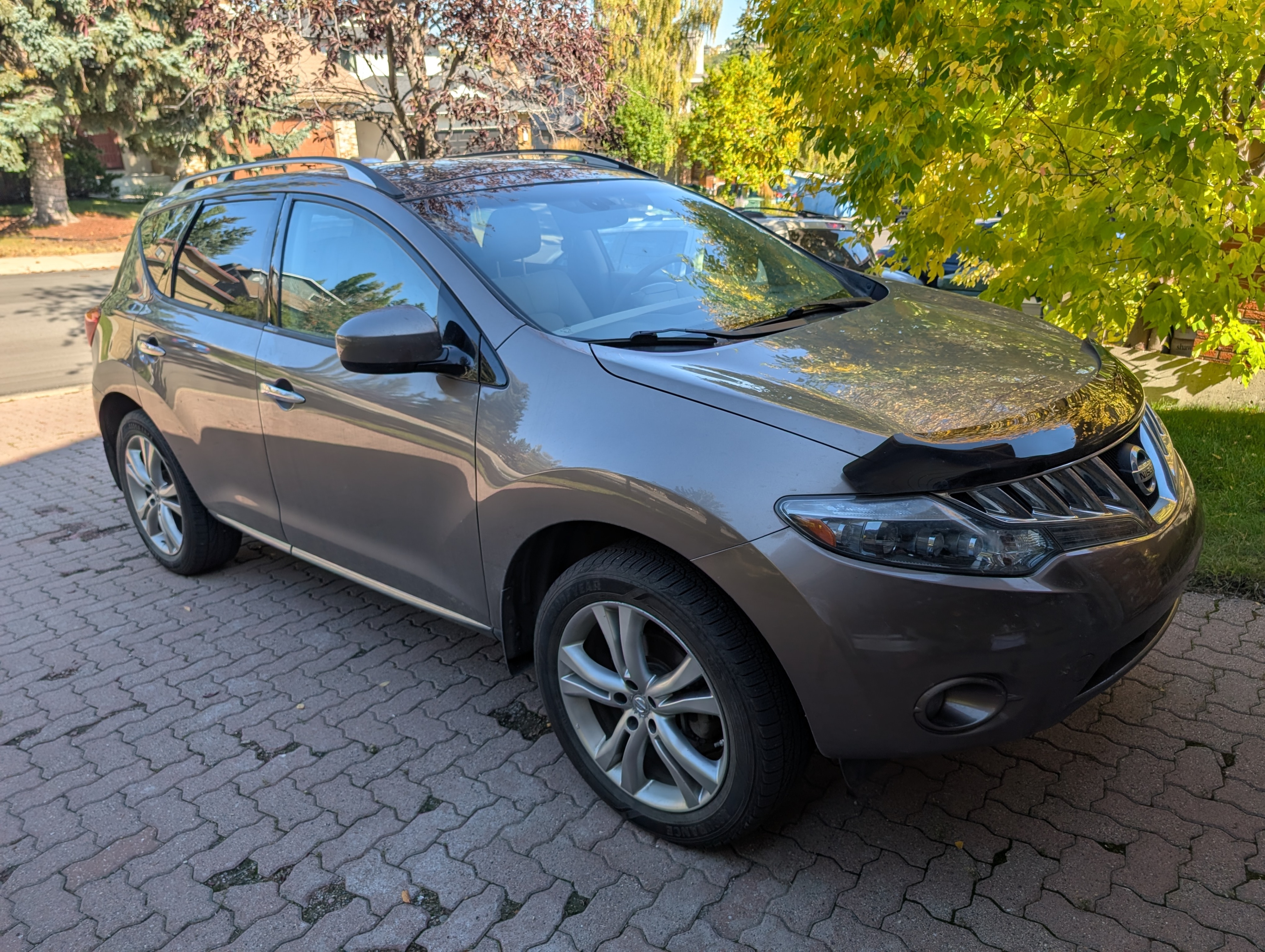 2009 Nissan Murano Le AWD