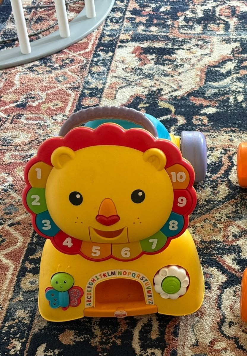 Fisher-Price Activity Walker Toys (Set of 2)