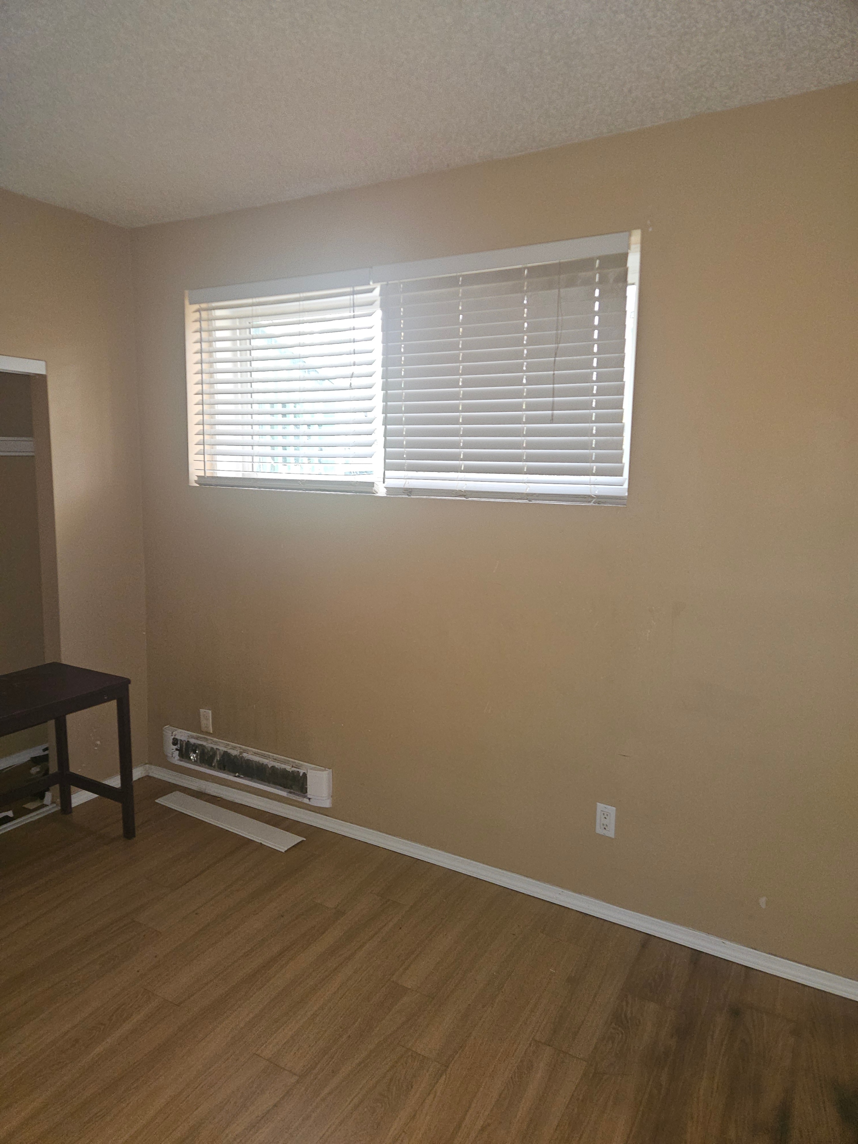 QUIET LARGE ROOM FOR RENT @113 AVE , 96ST ---AVAILABLE ASAP !! - photo 2