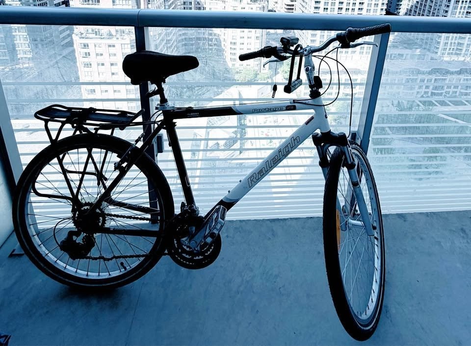 Raleigh Portage Hybrid Bike - Medium, Rack & Fenders