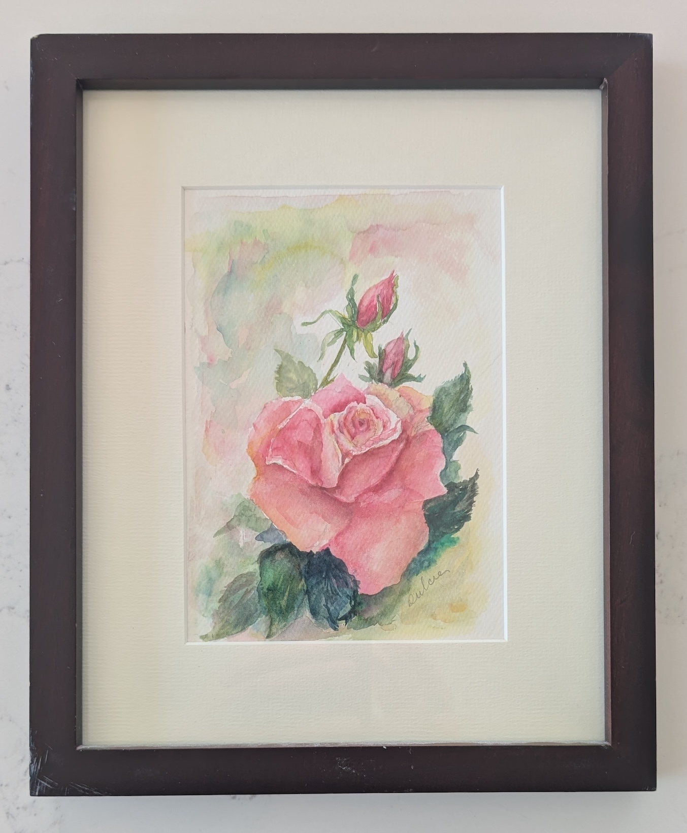 Set of 3 Framed Floral Watercolour Paintings