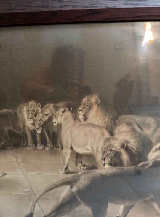 Antique Late 19th-Century Framed Print –Daniel in the Lions’ Den - photo 4