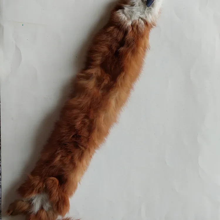 Ferret Pelt - photo 3