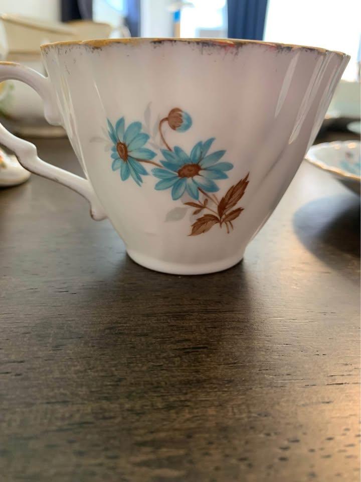 Gladstone Fine Bone China Teacup and Saucer