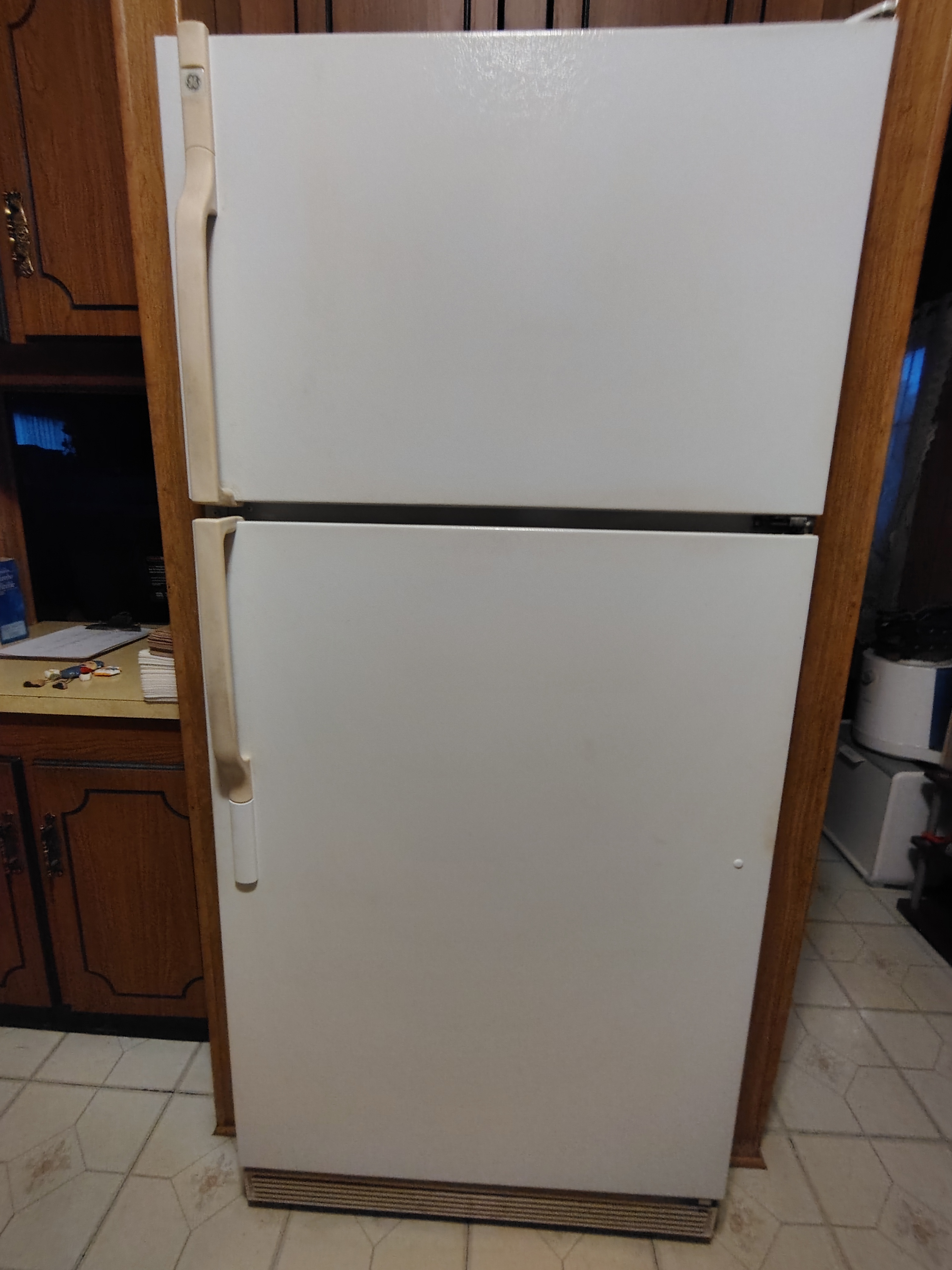 GE Frost Free Fridge/ Freezer
