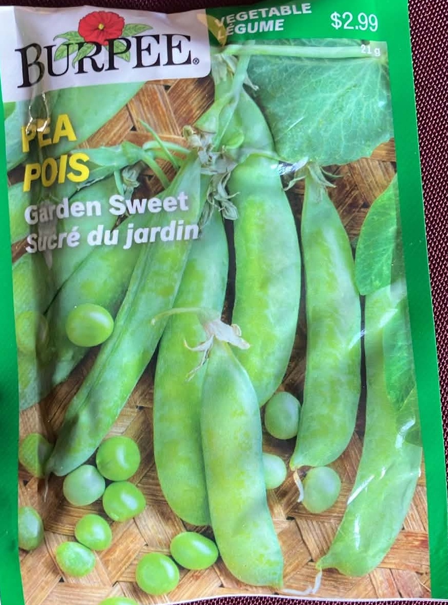 Pea Garden Sweet Seeds