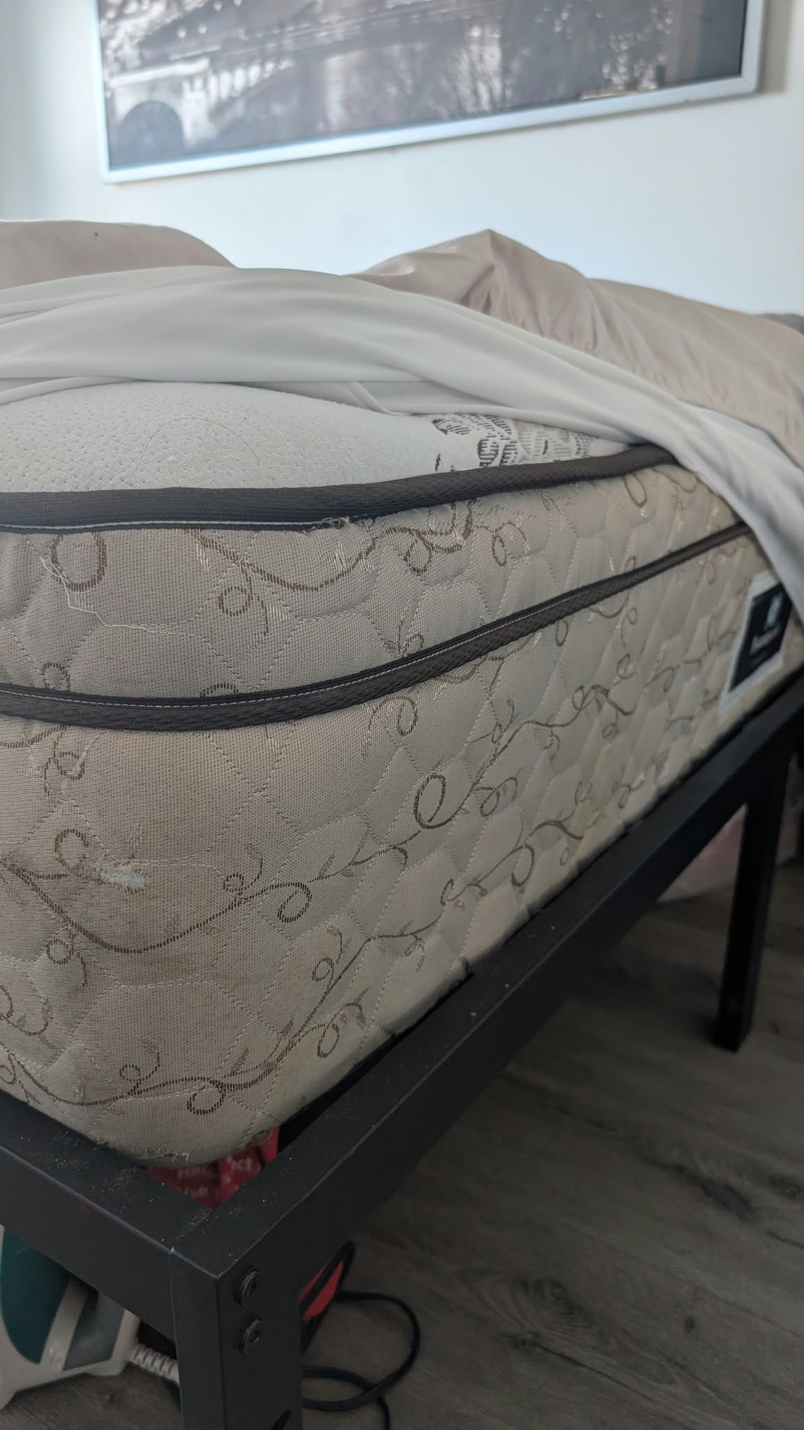 Queen Bed + Thick Posture Mattress - photo 4